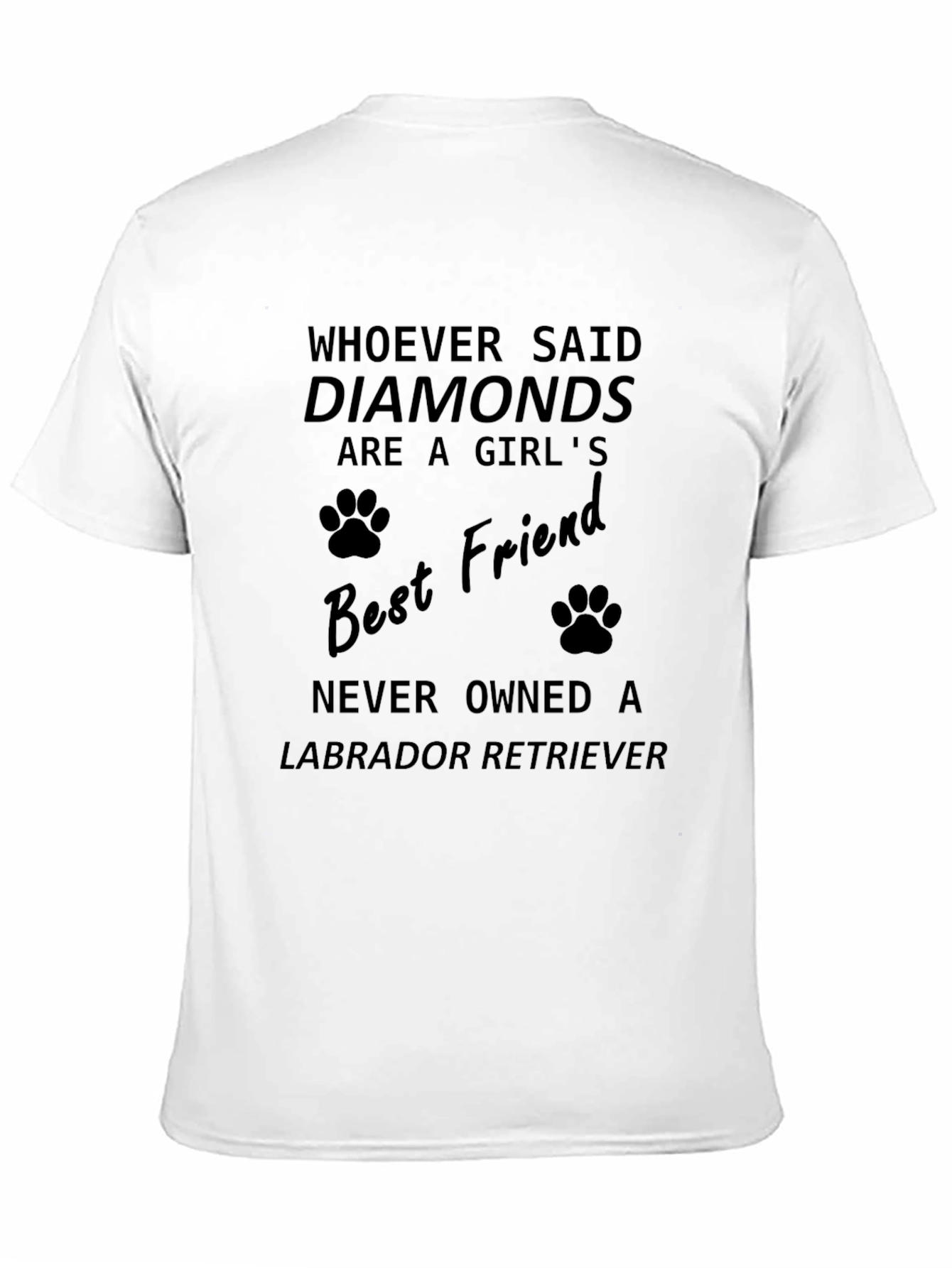 Labrador Retriever Best Friend Graphic Tee