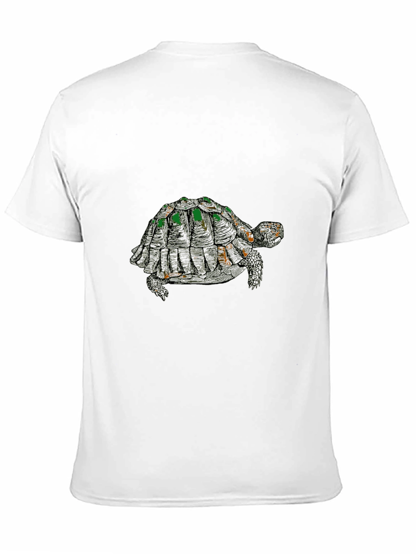 Turtle Graphic Tee - Stylish Black Cotton Blend
