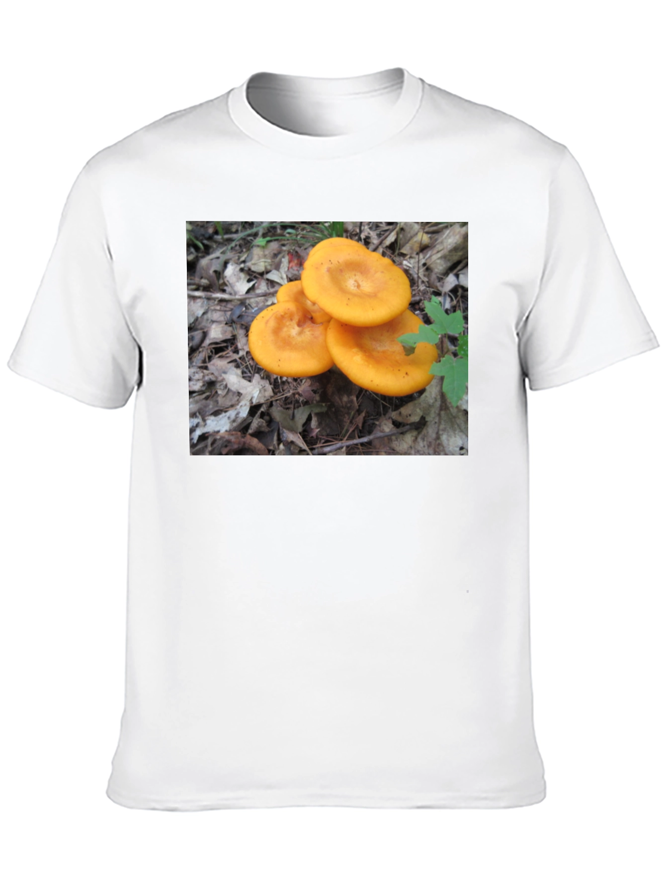 Mushroom T-Shirt - Fun Graphic Tee