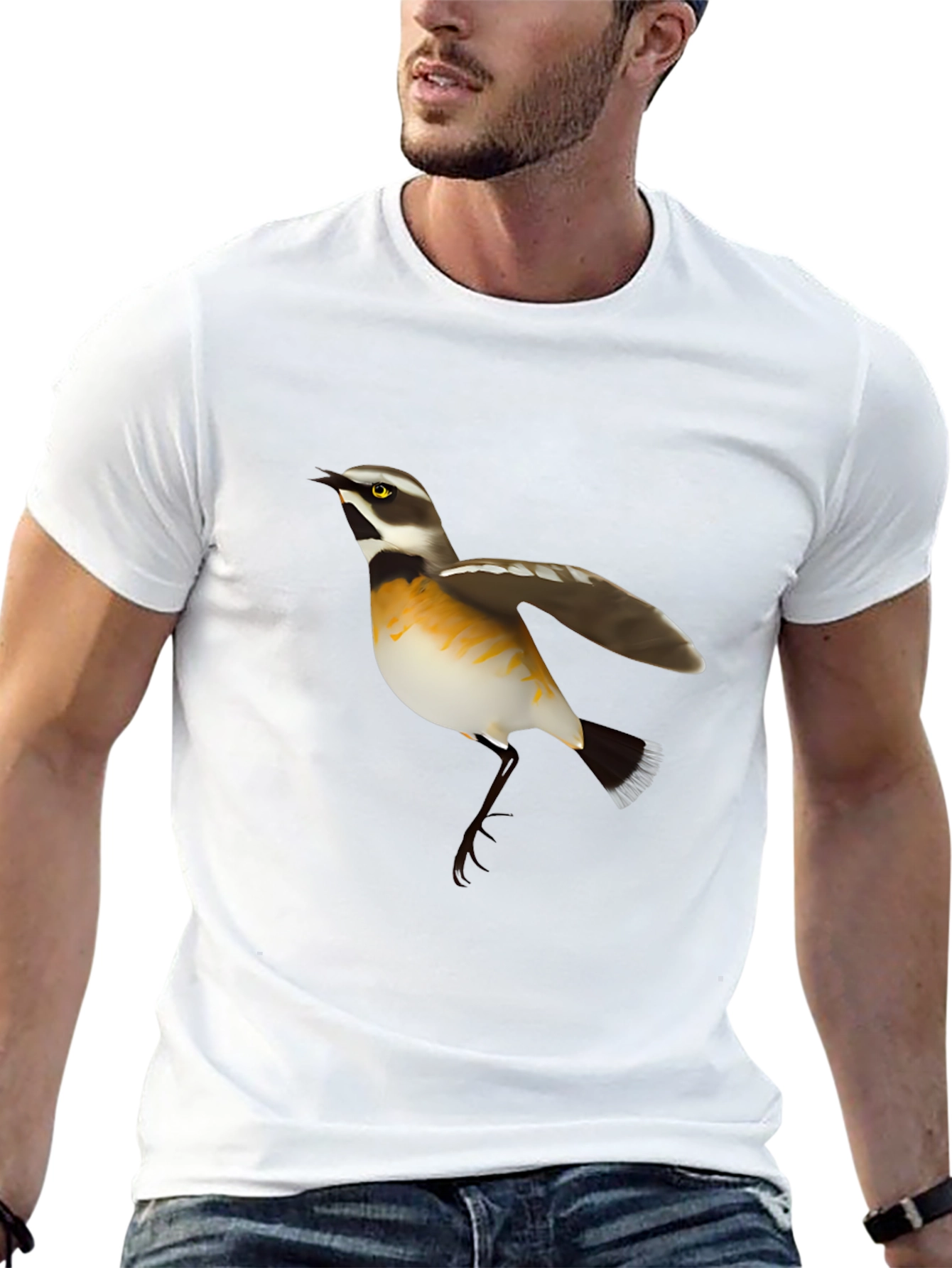 Bird Graphic Tee - Black Cotton Casual T-Shirt