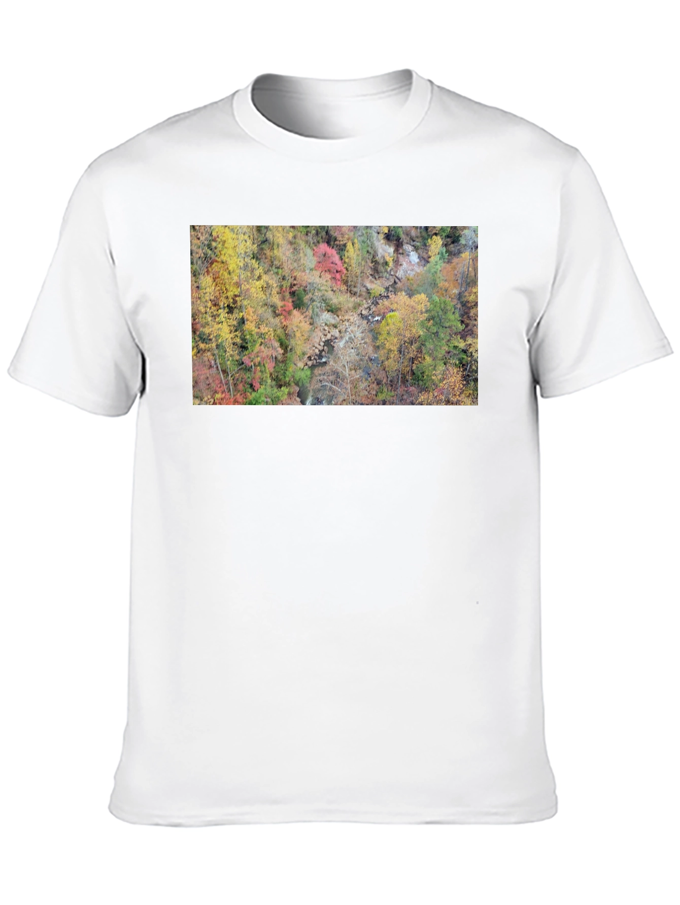 Autumn Forest Stream T-Shirt