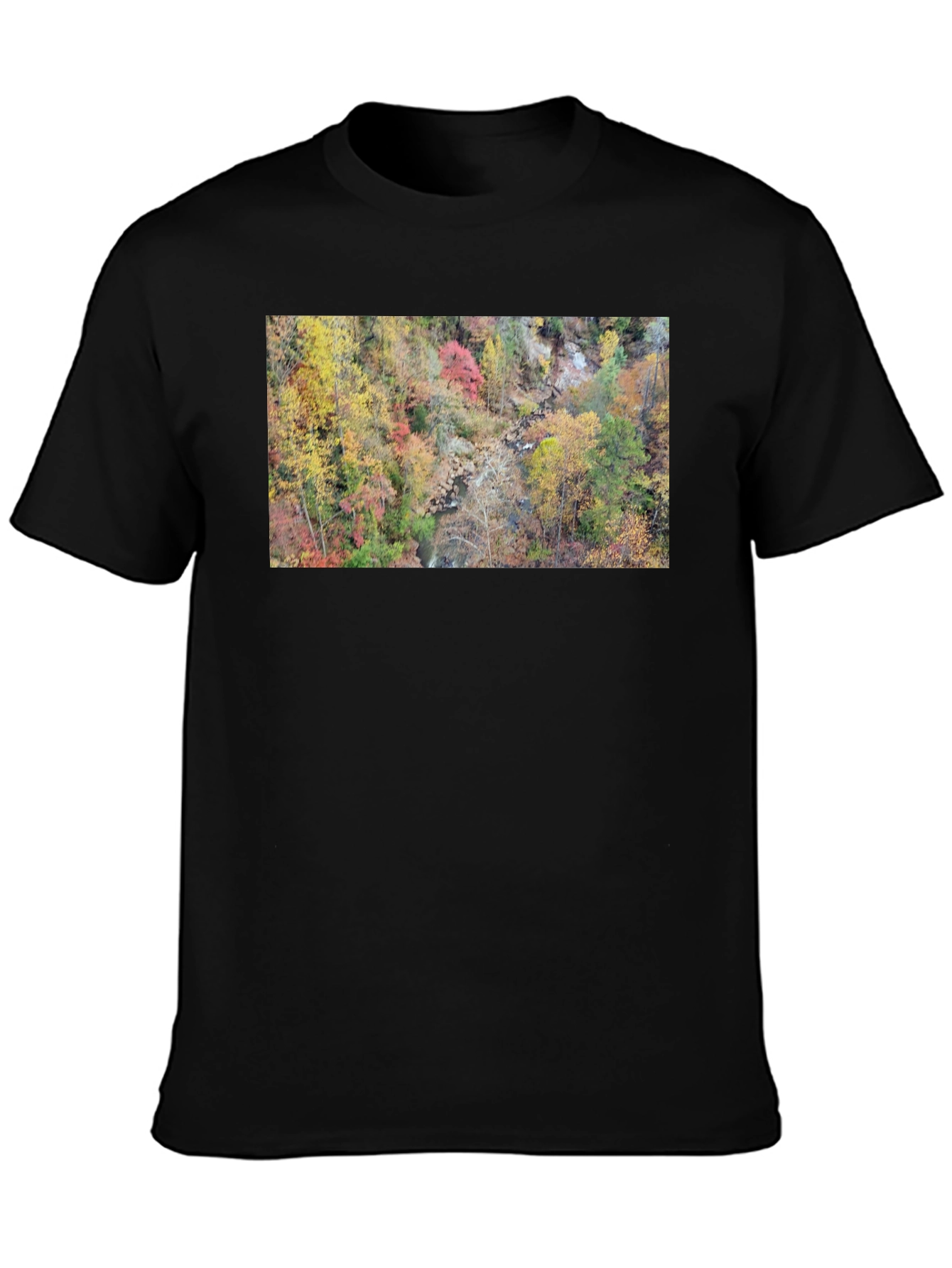 Autumn Forest Stream T-Shirt