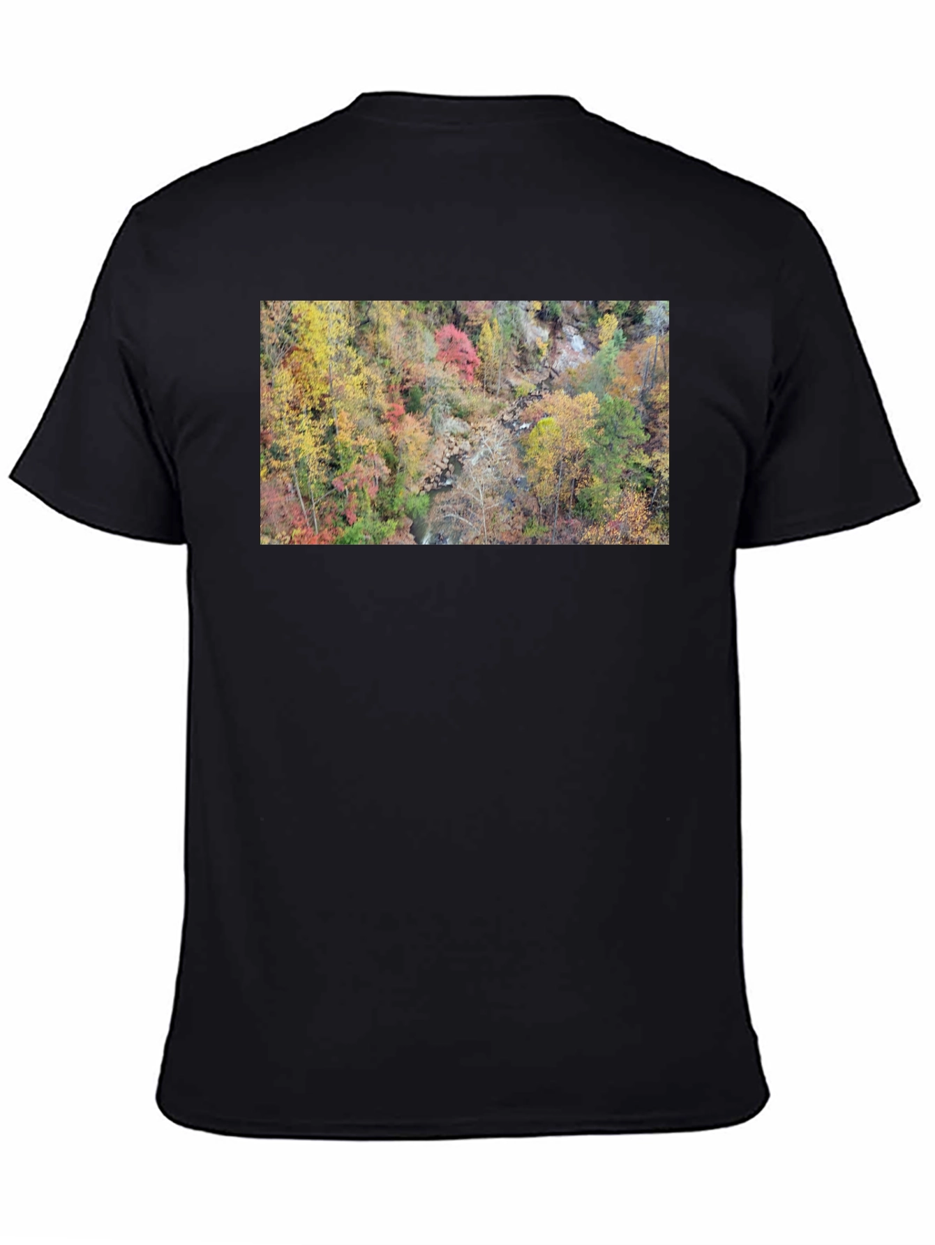 Autumn Forest Stream T-Shirt