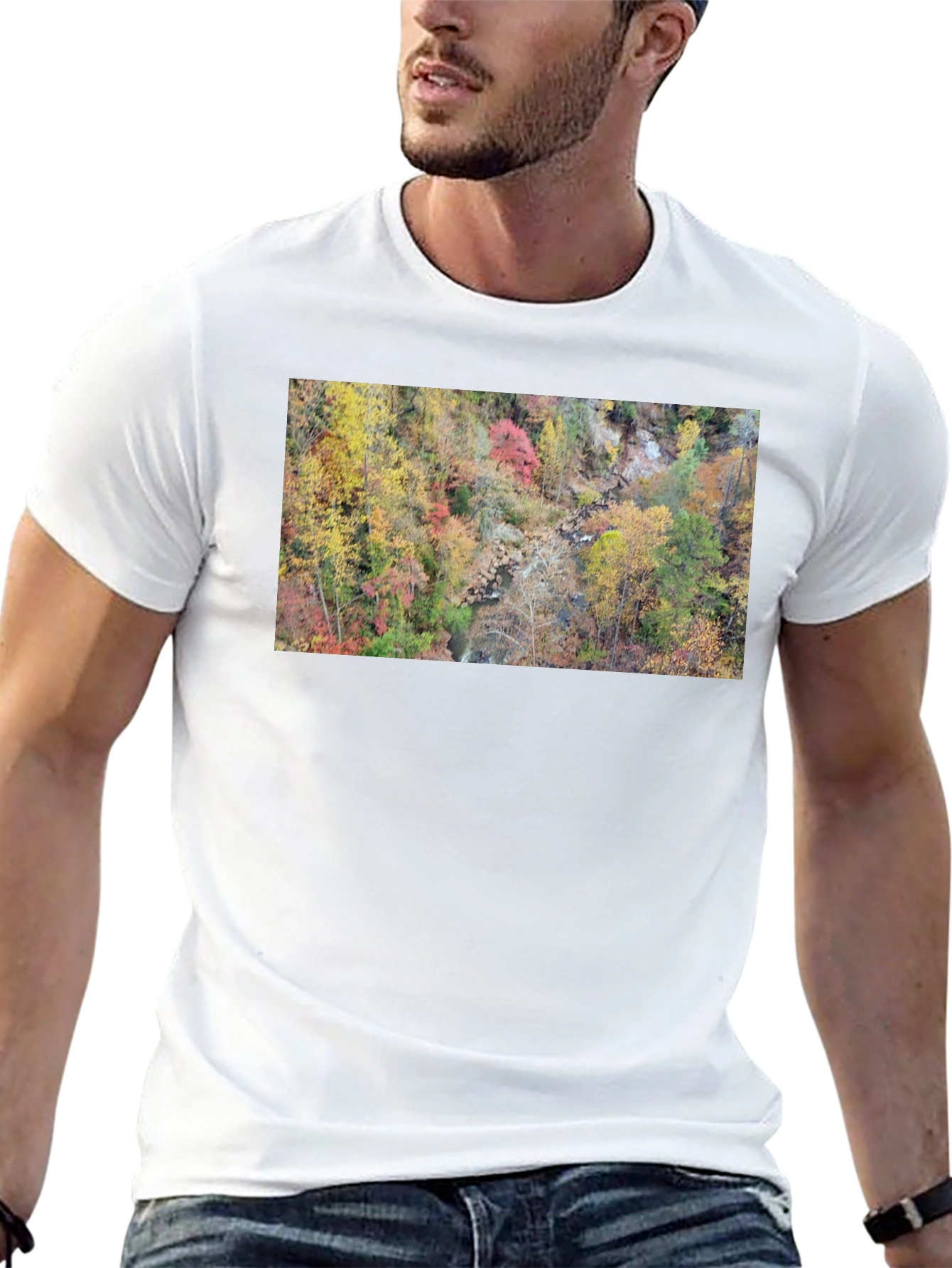 Autumn Forest Stream T-Shirt