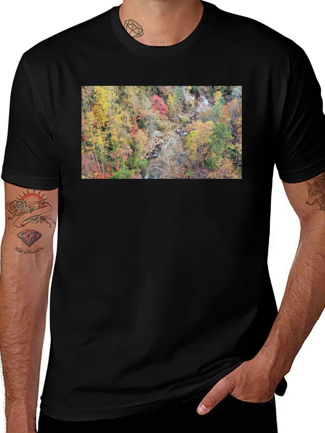 Autumn Forest Stream T-Shirt