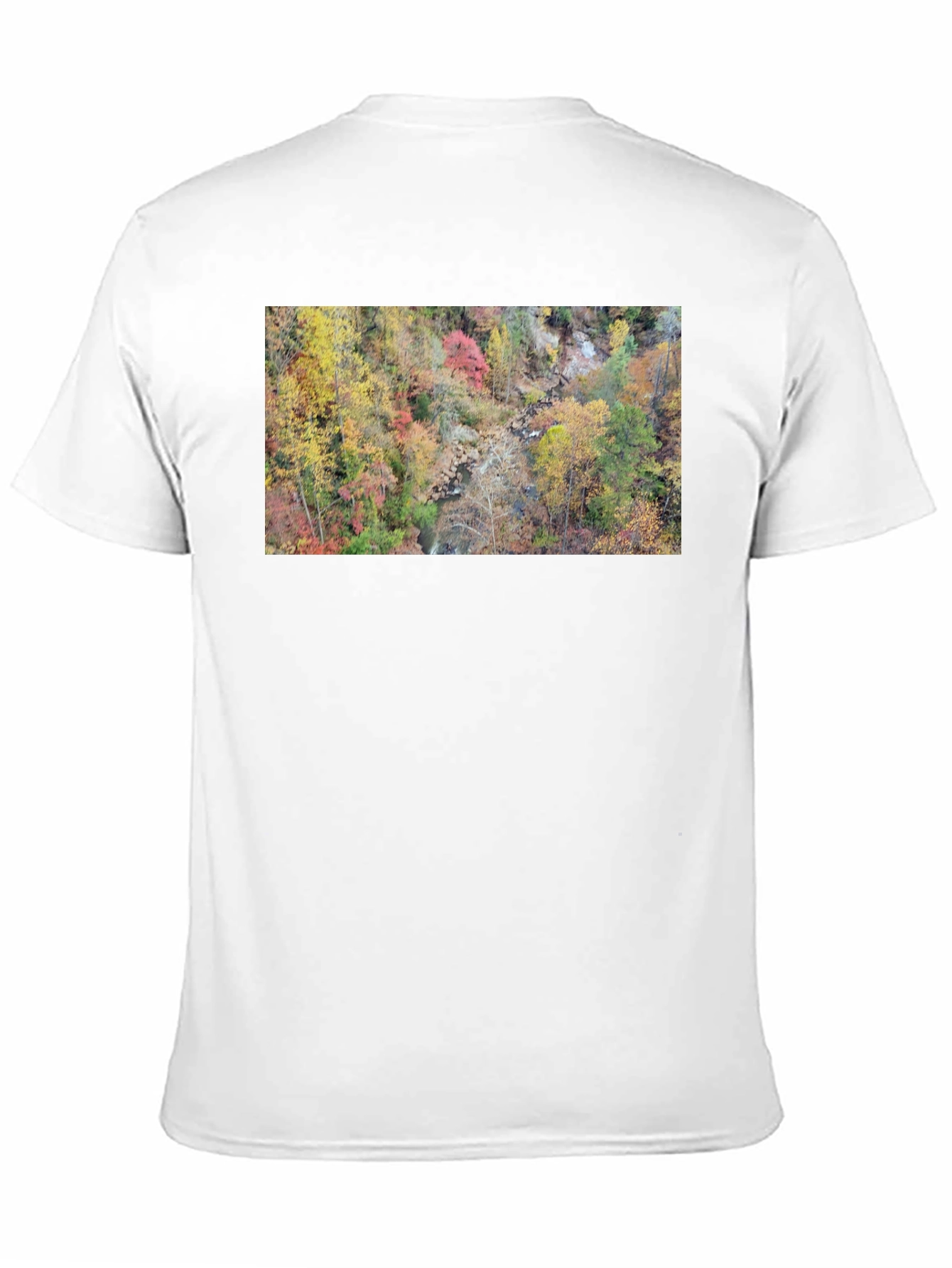Autumn Forest Stream T-Shirt