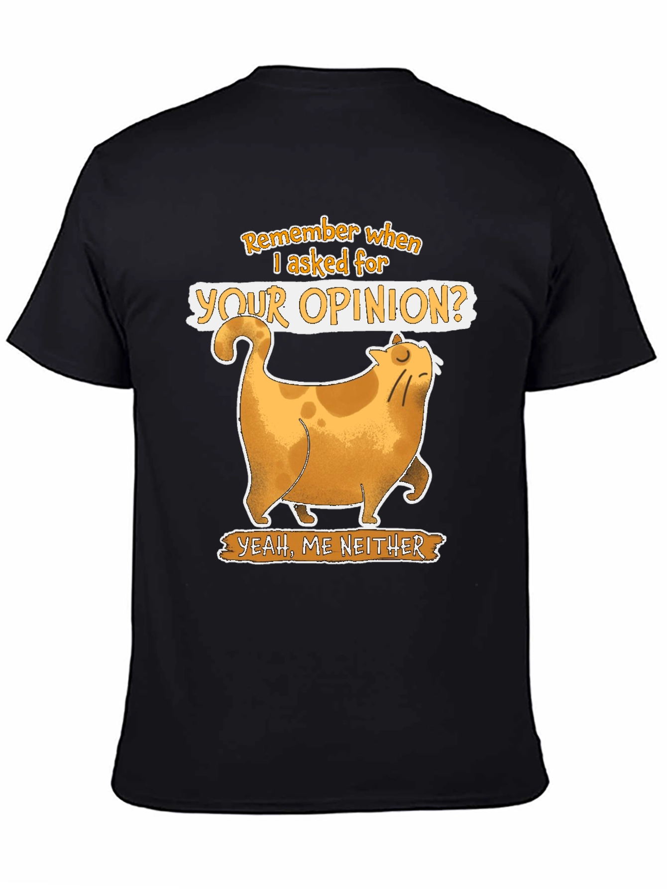 Sarcastic Cat T-Shirt - Remember When I Asked?