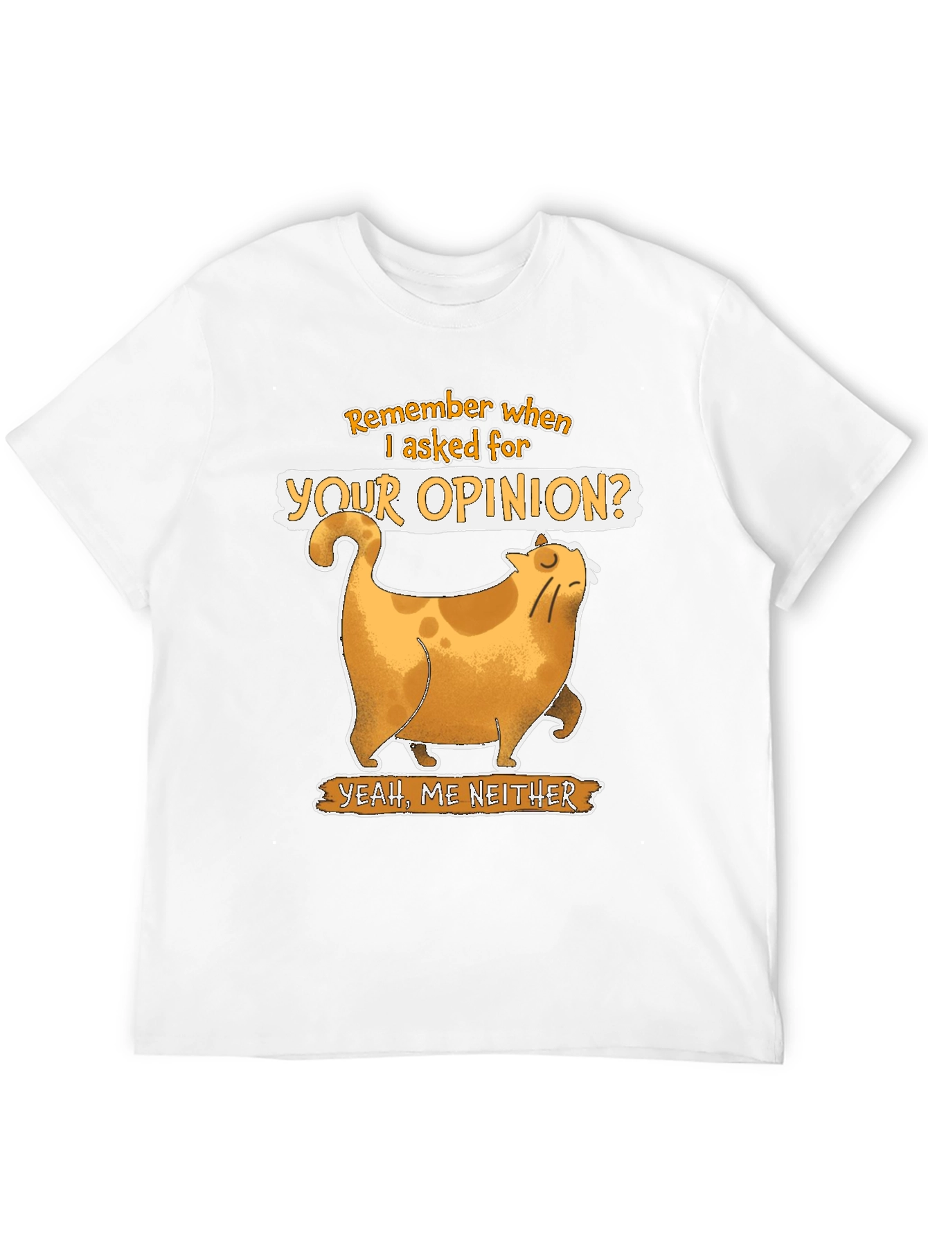 Sarcastic Cat T-Shirt - Remember When I Asked?