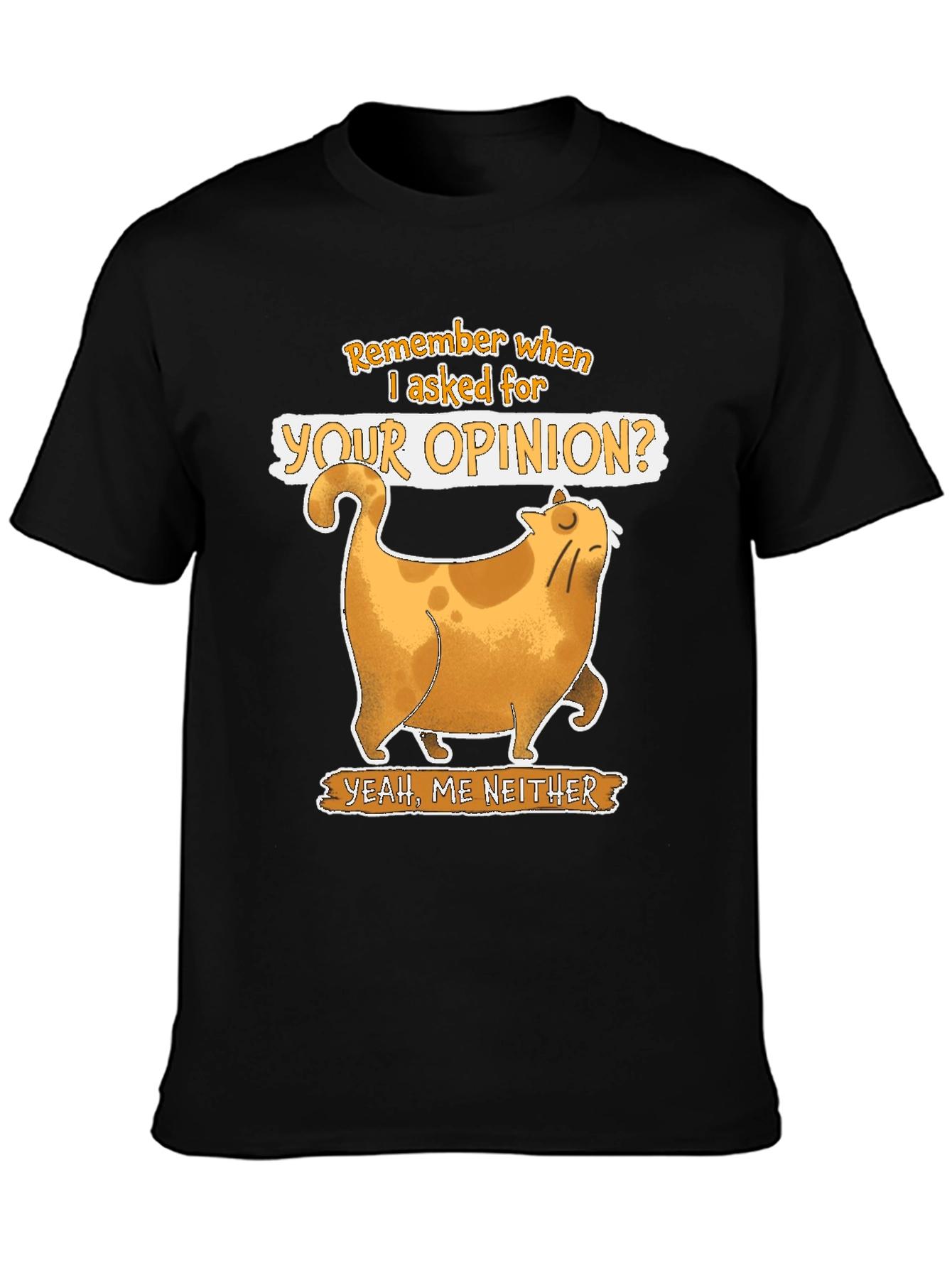 Sarcastic Cat T-Shirt - Remember When I Asked?