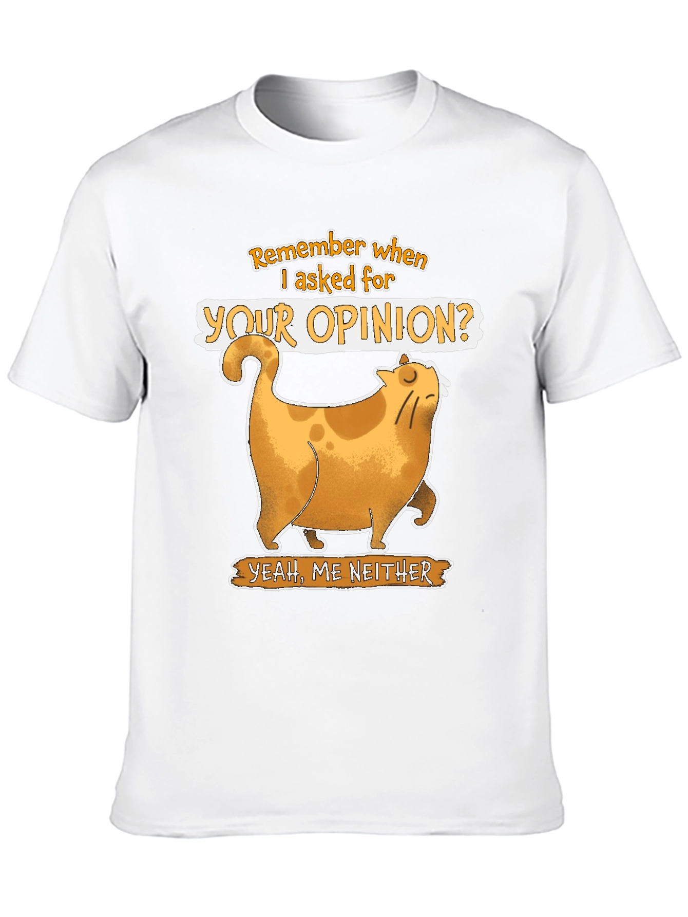 Sarcastic Cat T-Shirt - Remember When I Asked?
