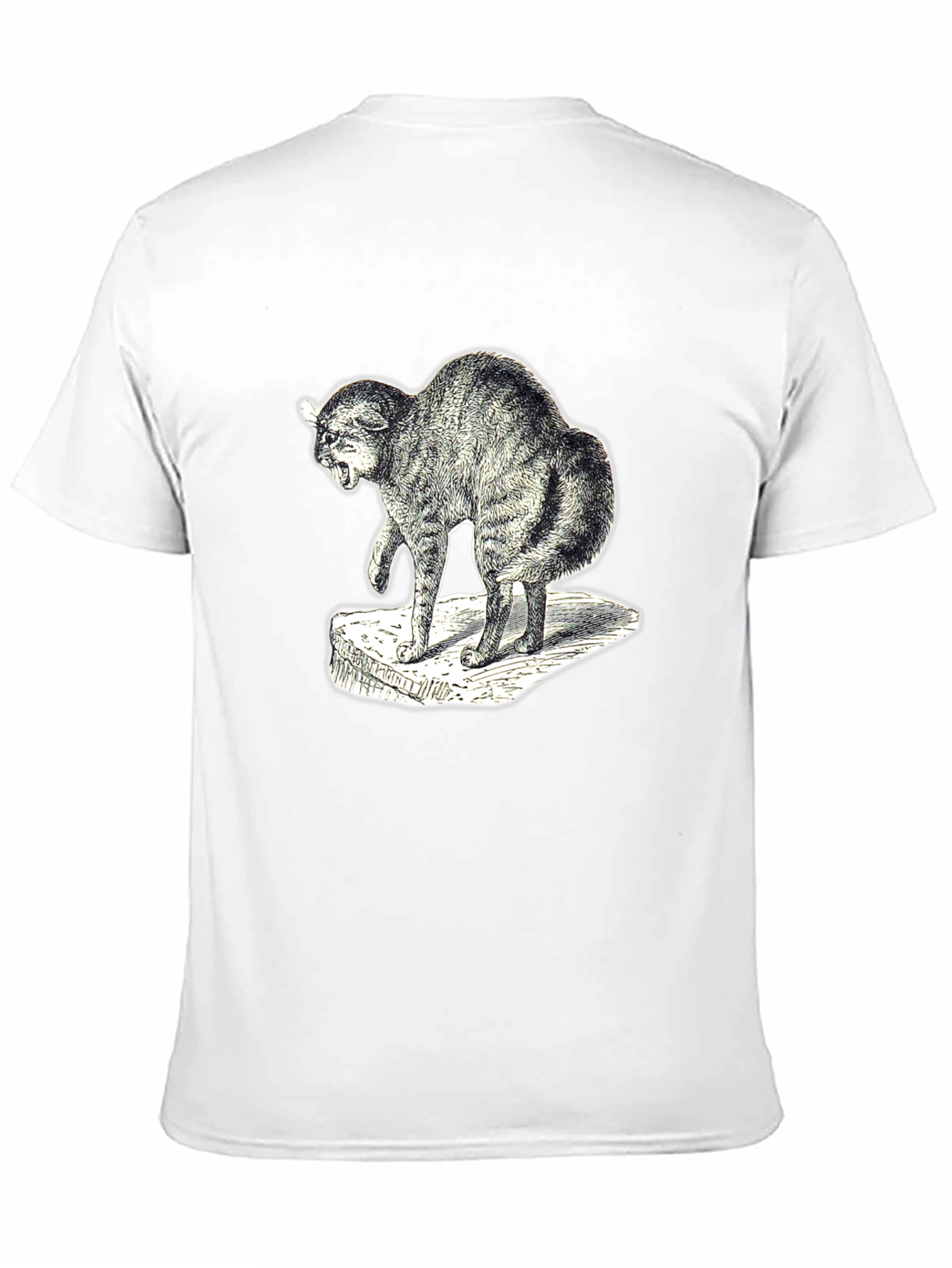 Distressed Cat Graphic Tee - Unisex Black T-Shirt