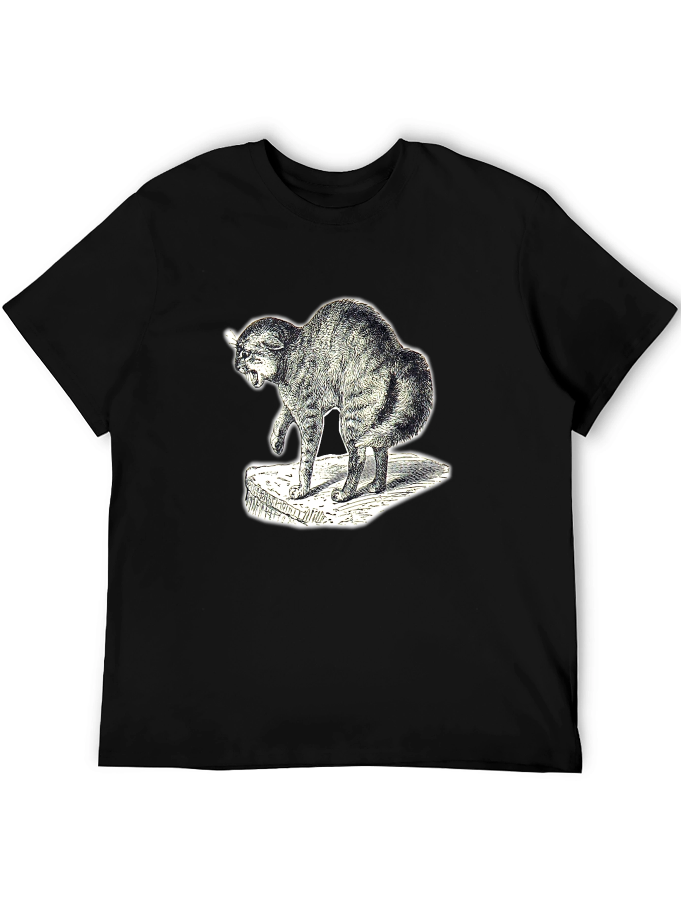 Distressed Cat Graphic Tee - Unisex Black T-Shirt