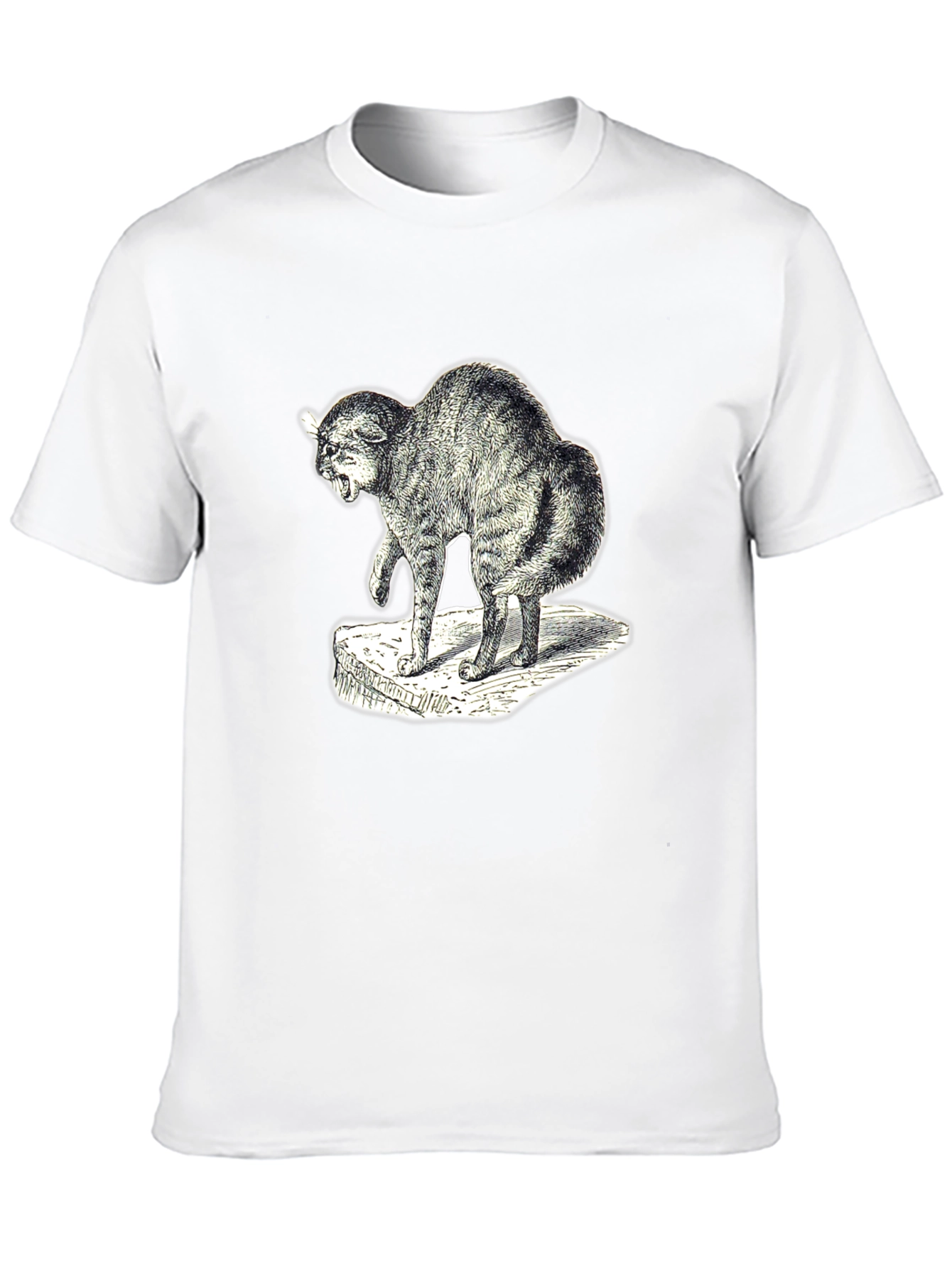 Distressed Cat Graphic Tee - Unisex Black T-Shirt