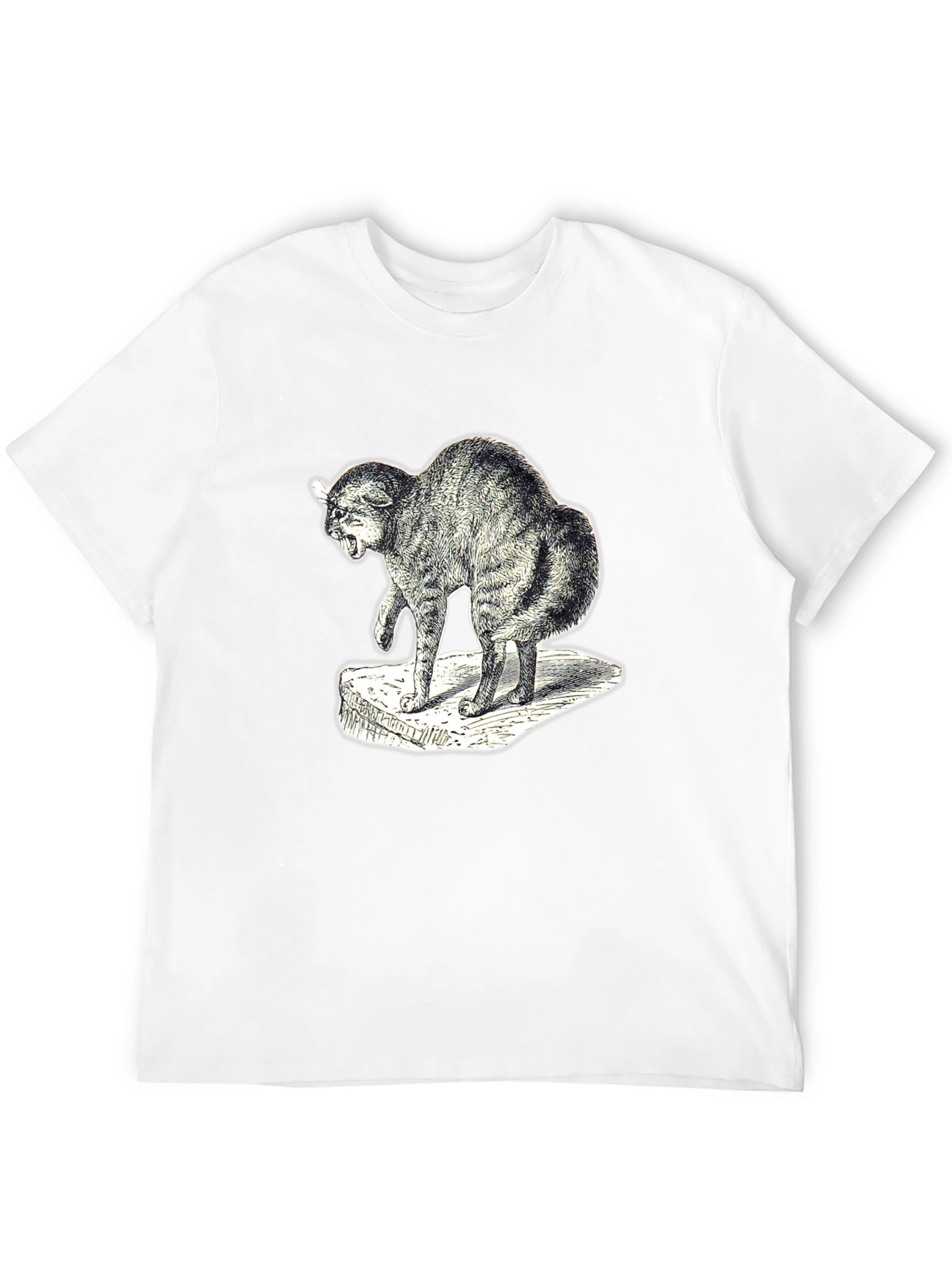 Distressed Cat Graphic Tee - Unisex Black T-Shirt