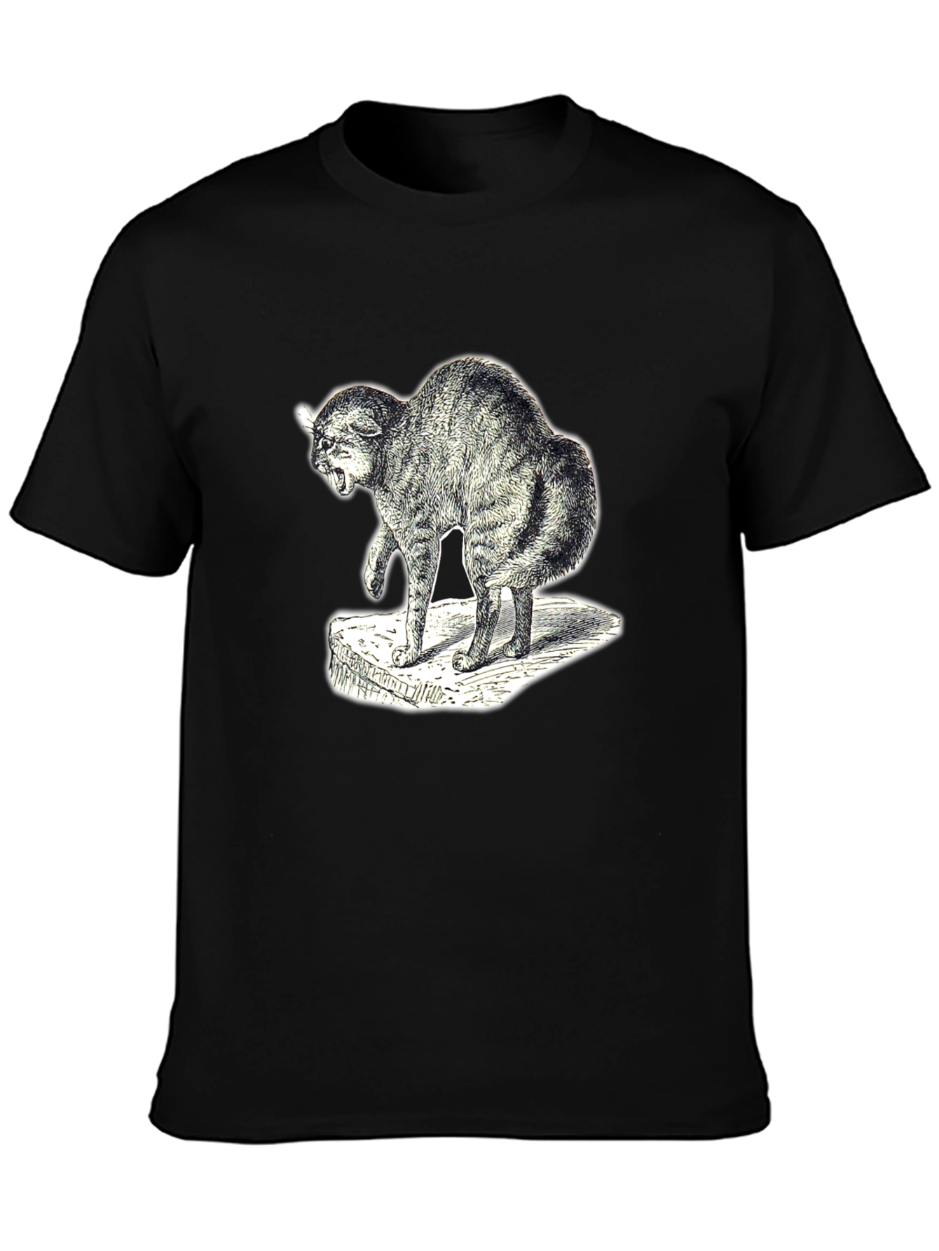Distressed Cat Graphic Tee - Unisex Black T-Shirt