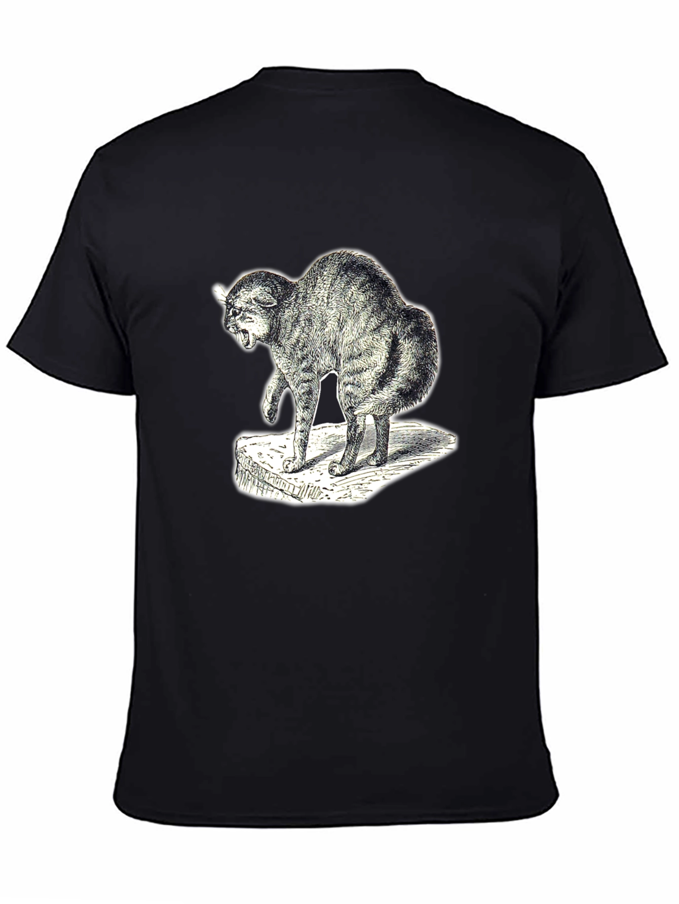 Distressed Cat Graphic Tee - Unisex Black T-Shirt