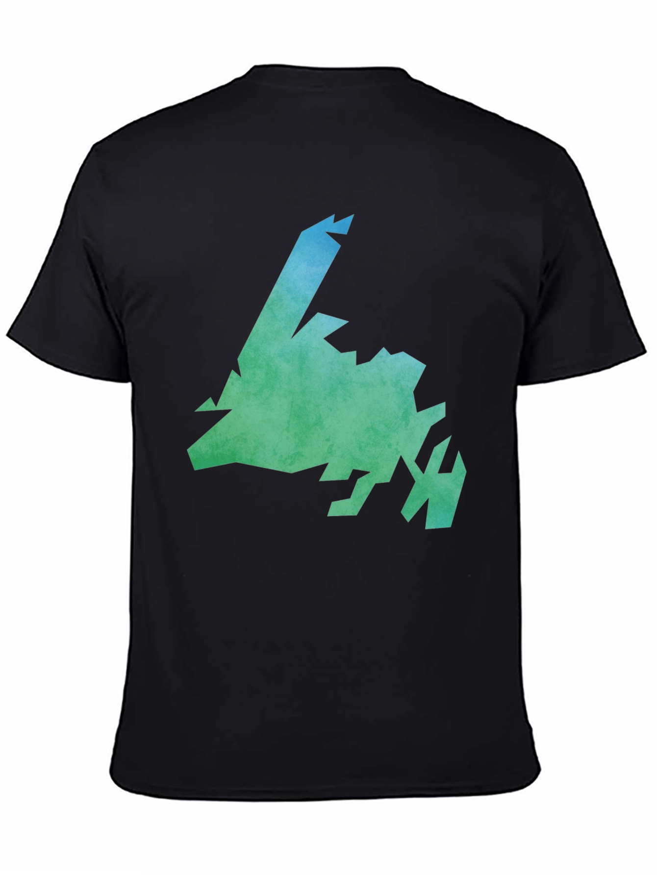 Newfoundland & Labrador Graphic Tee - Black