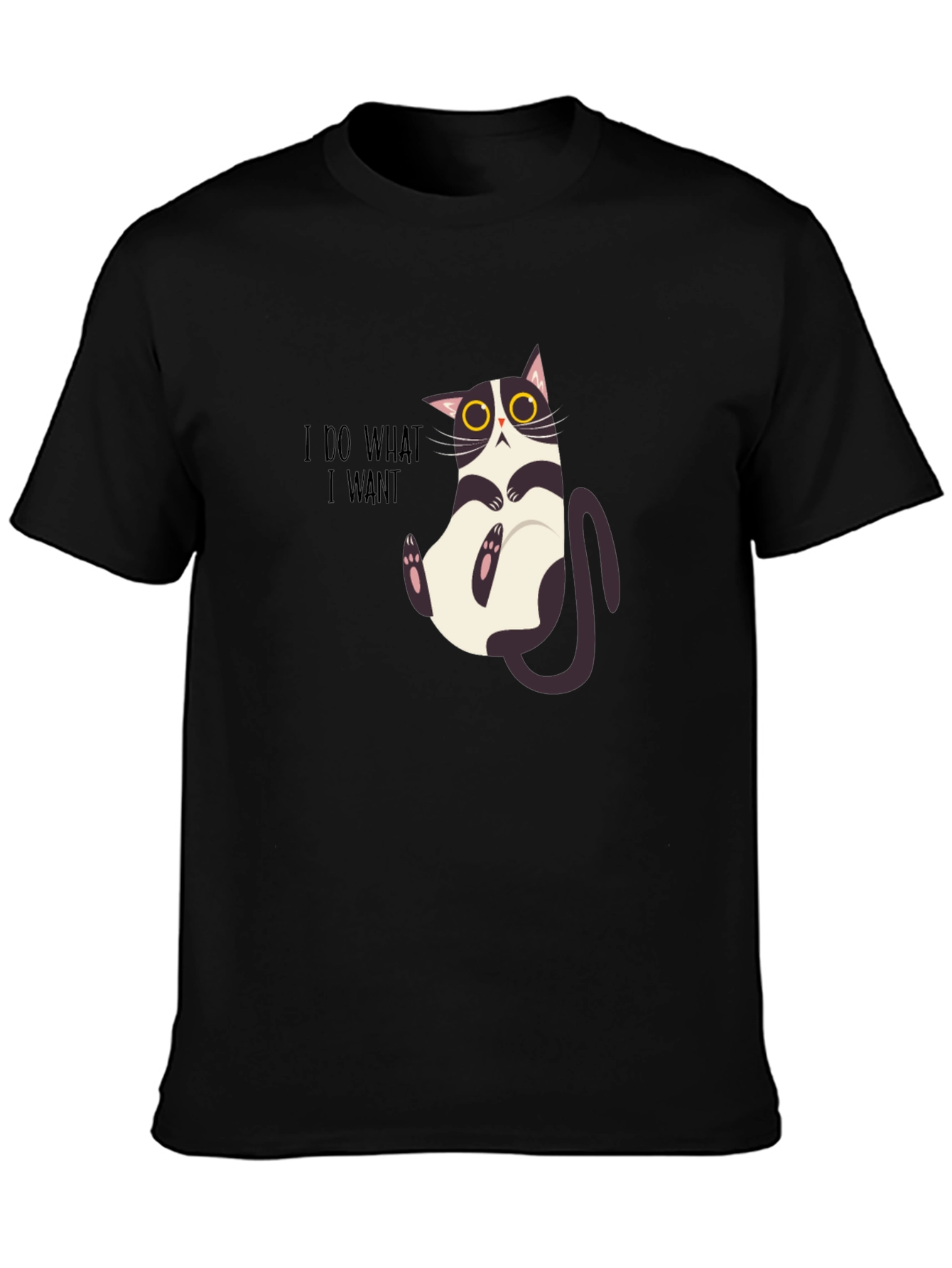 I Do What I Want Funny Cat Graphic Tee