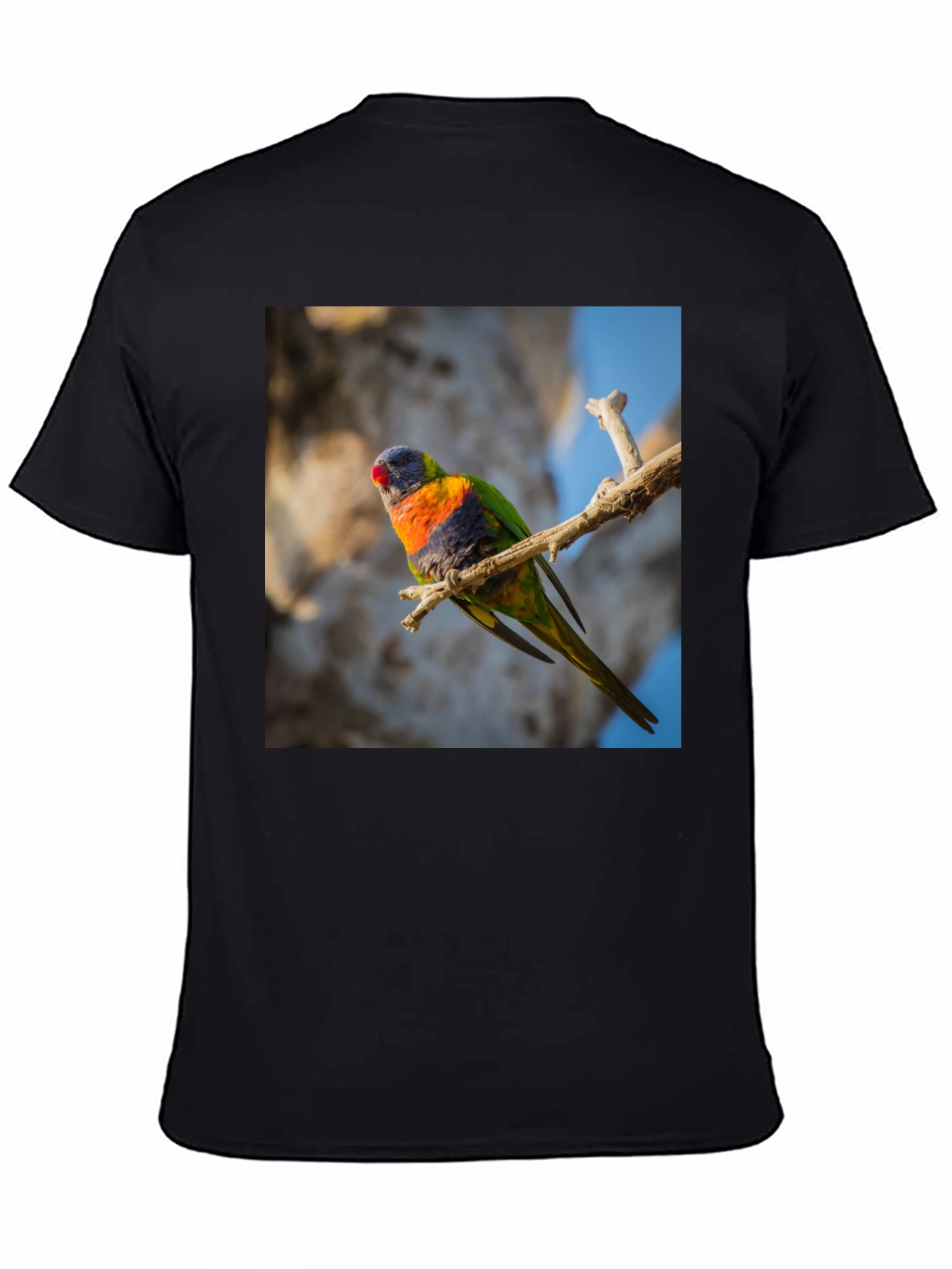 Rainbow Lorikeet T-Shirt - Nature Inspired Apparel