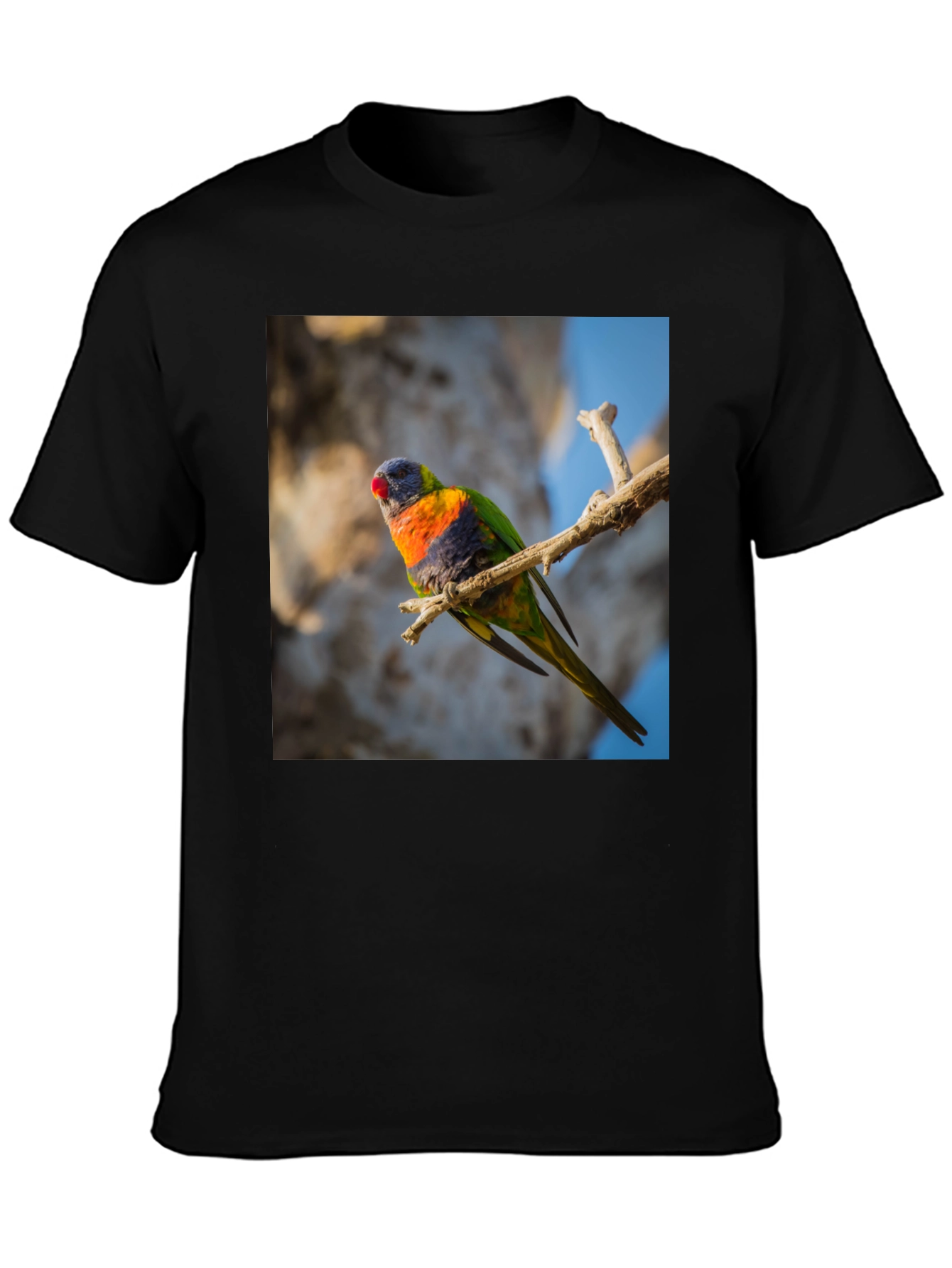 Rainbow Lorikeet T-Shirt - Nature Inspired Apparel