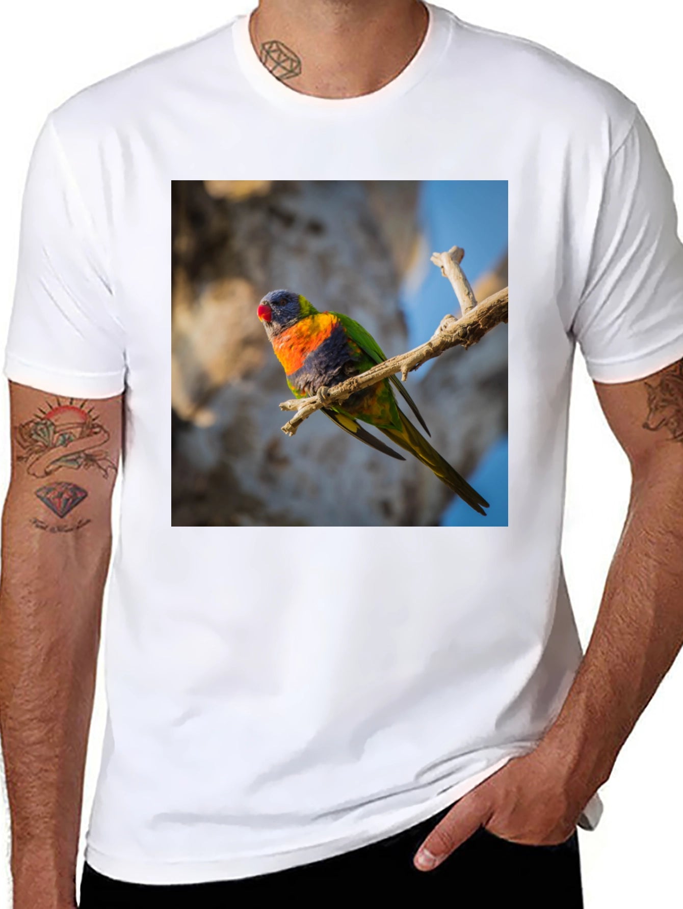 Rainbow Lorikeet T-Shirt - Nature Inspired Apparel