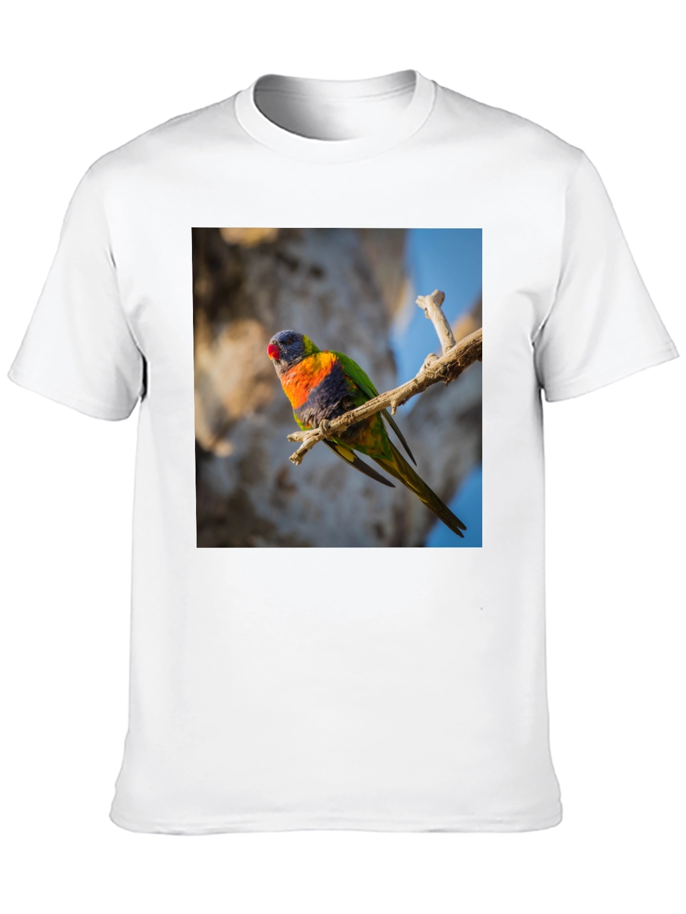 Rainbow Lorikeet T-Shirt - Nature Inspired Apparel