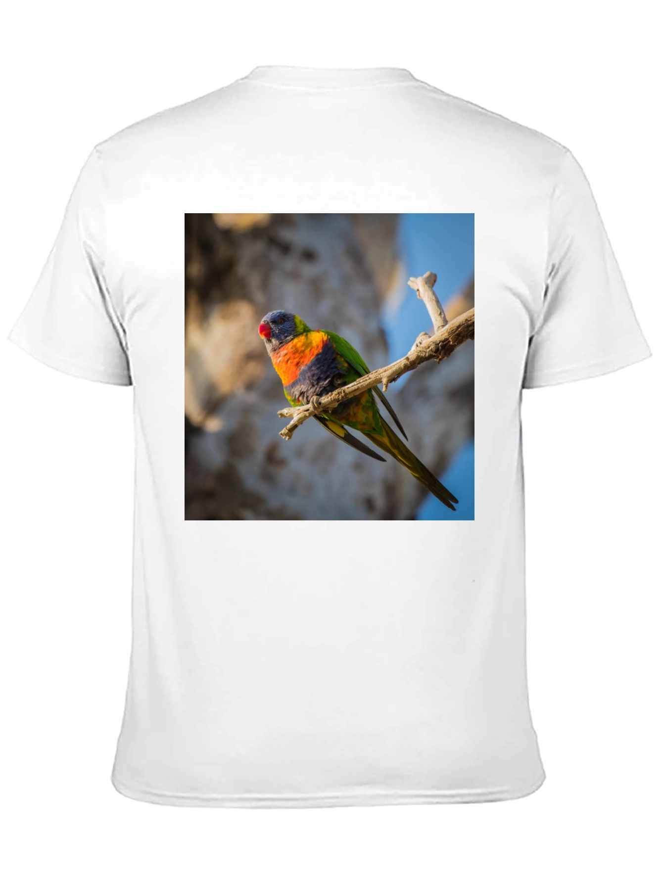 Rainbow Lorikeet T-Shirt - Nature Inspired Apparel