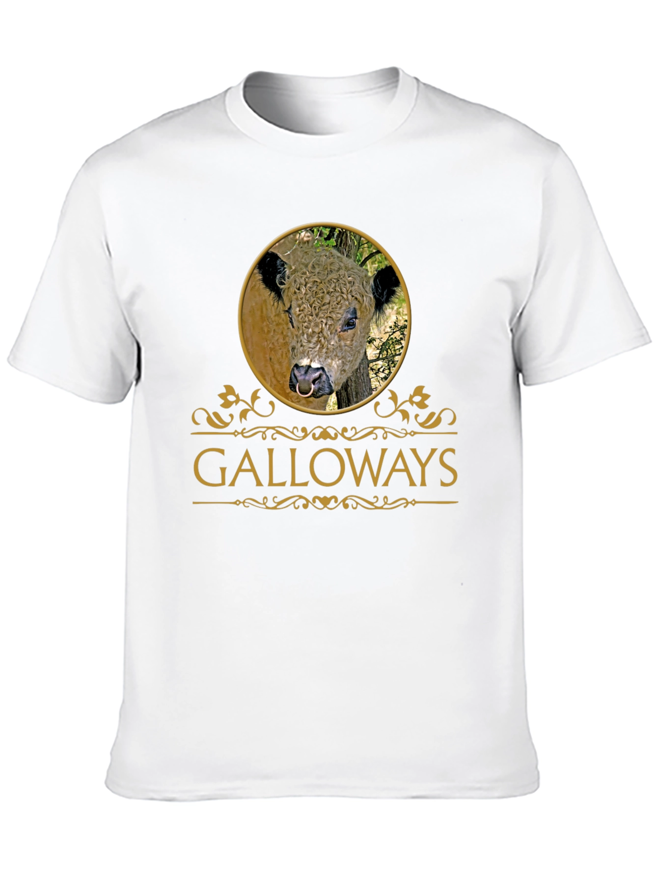 Galloway Bull T-Shirt - Unique Graphic Tee