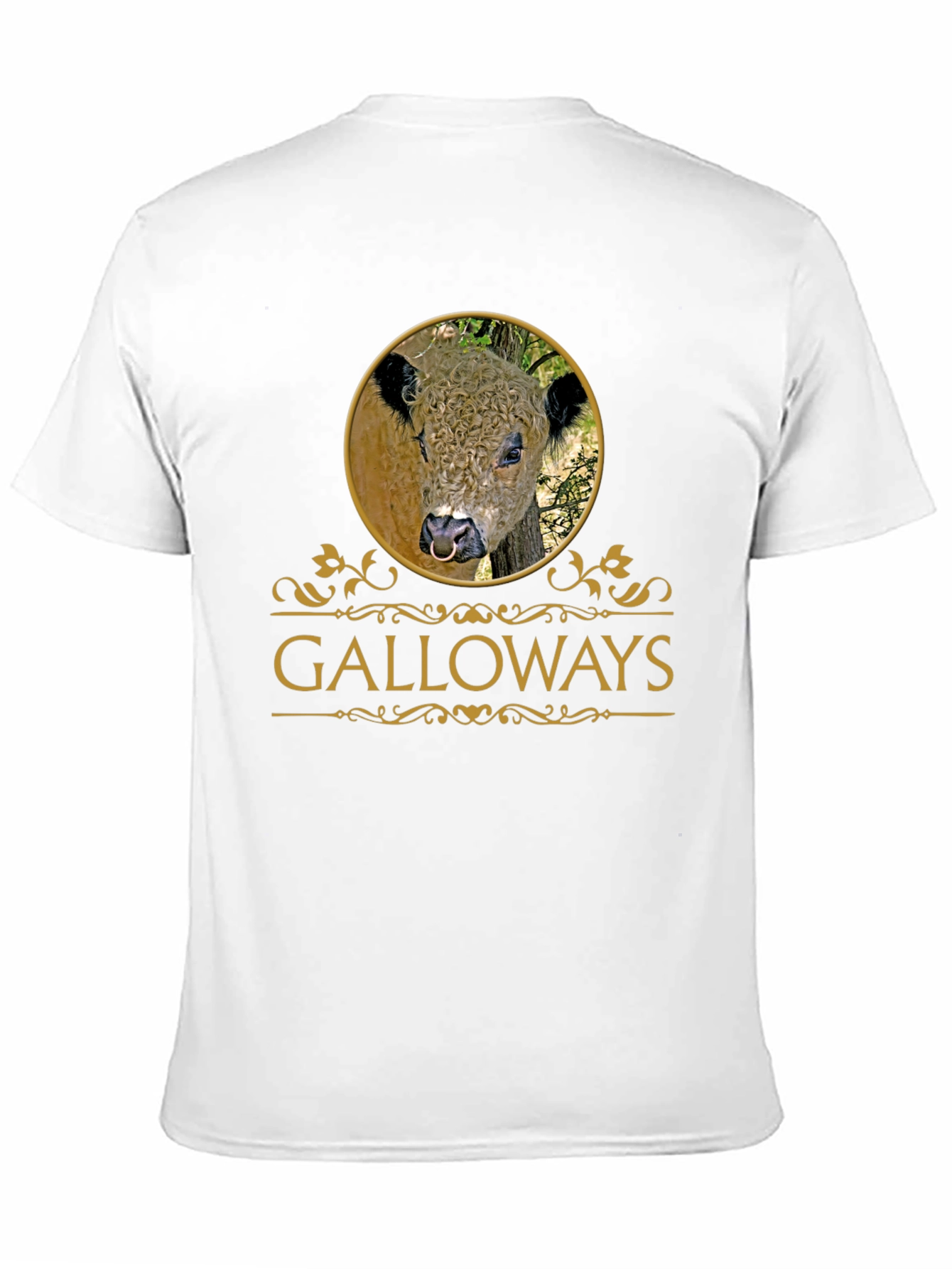 Galloway Bull T-Shirt - Unique Graphic Tee