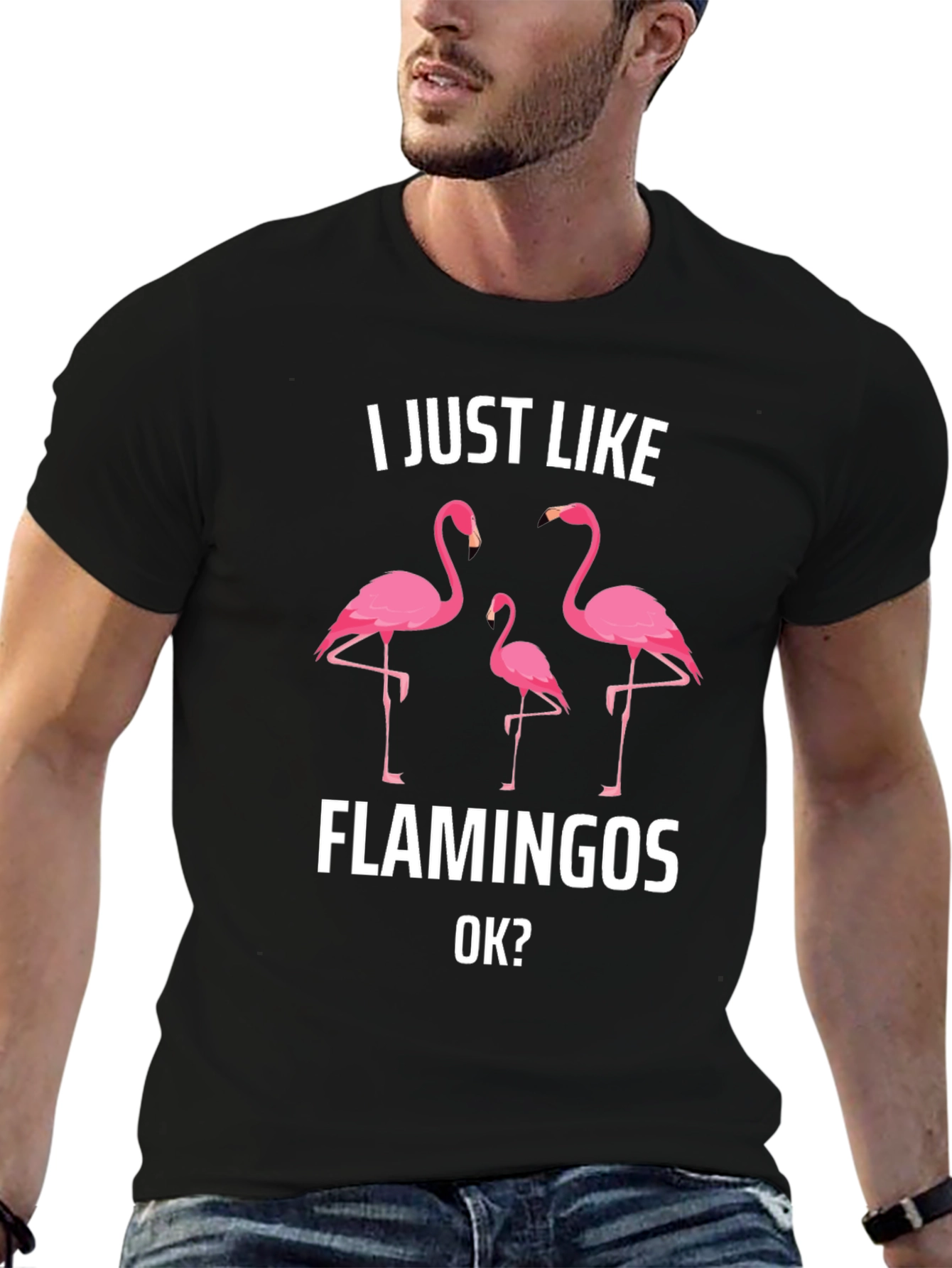I Just Like Flamingos T-Shirt