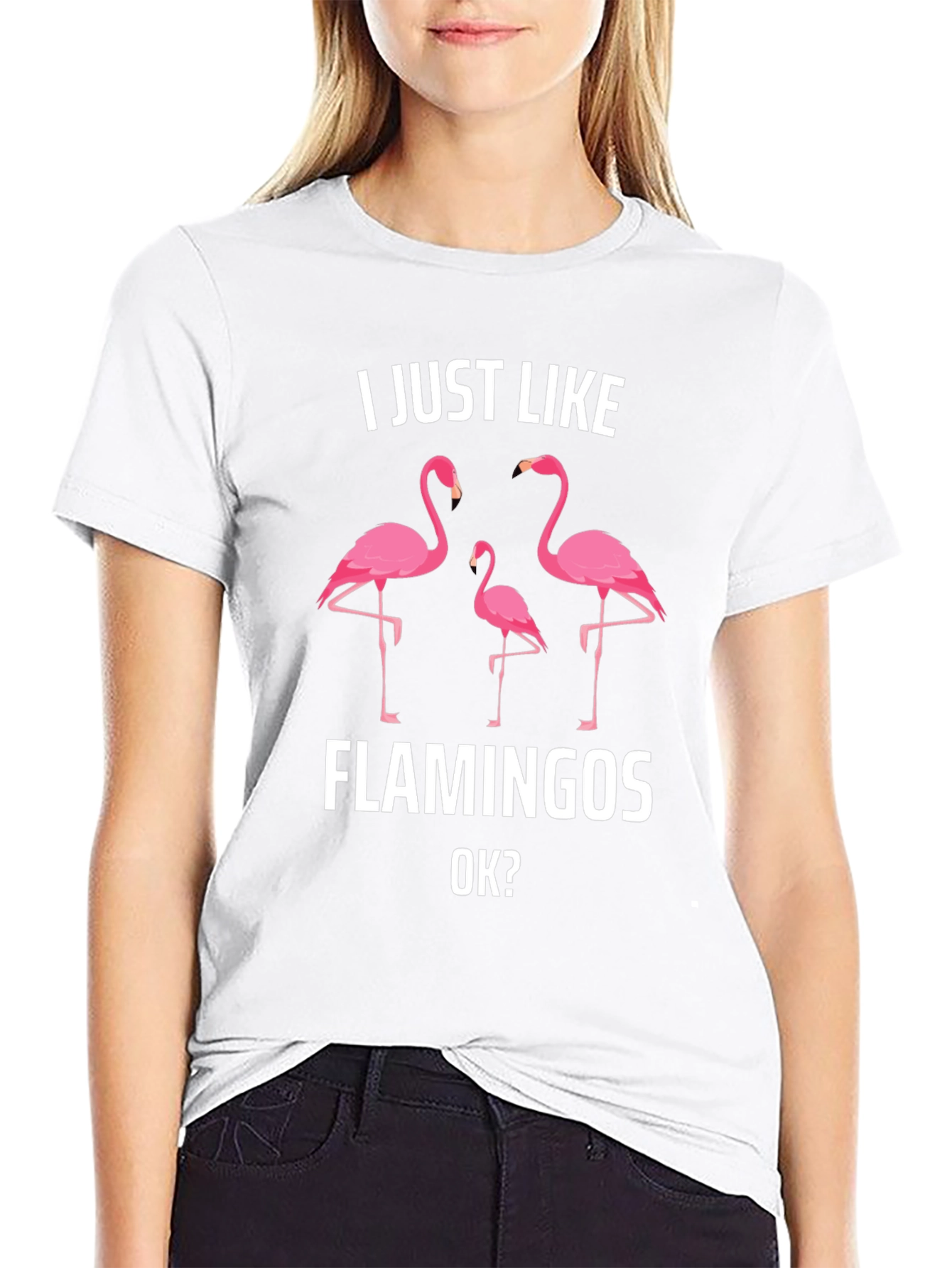 I Just Like Flamingos T-Shirt