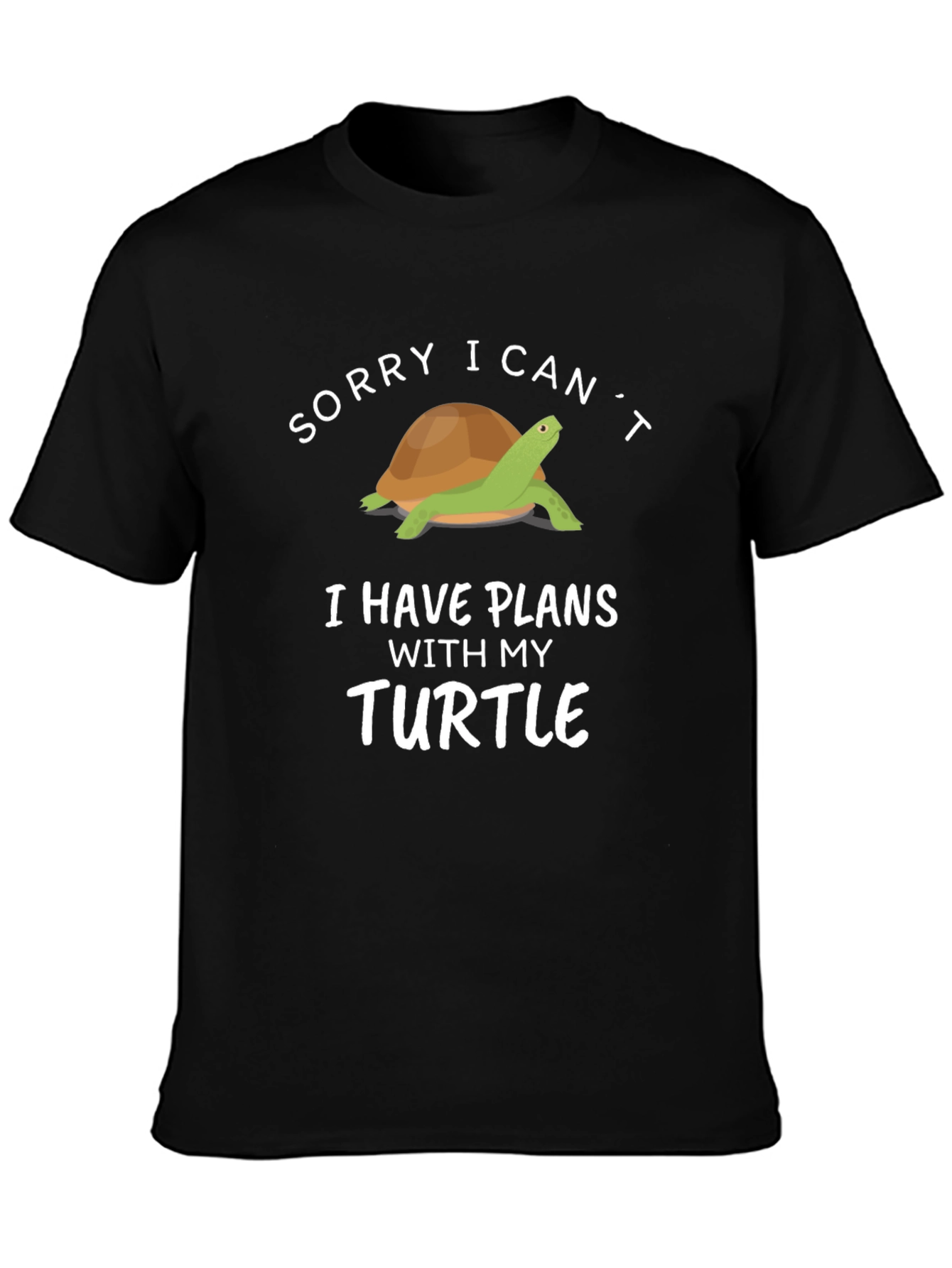 Funny Turtle Graphic T-Shirt - I Have Plans