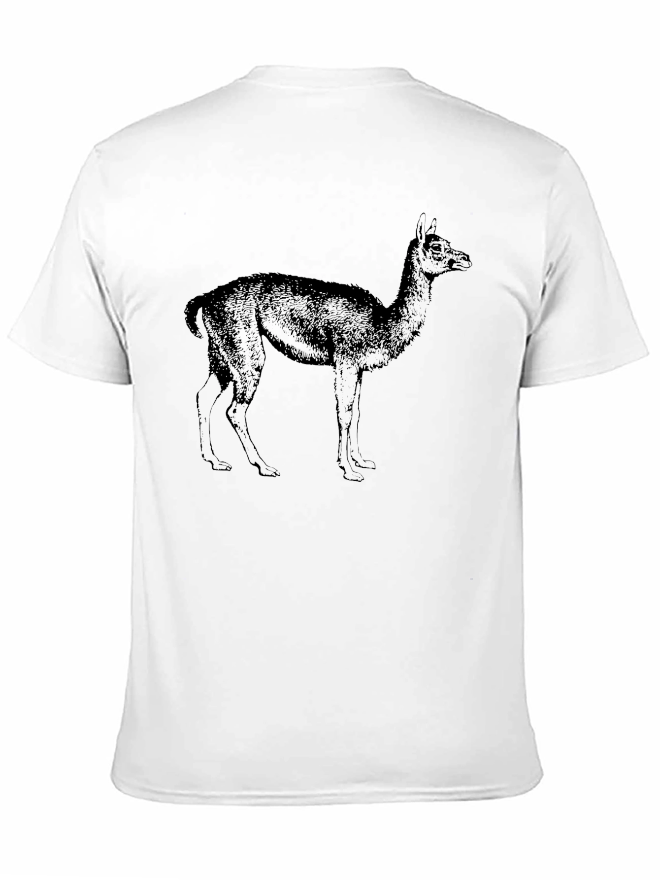 Llama Graphic Tee - Classic Black T-Shirt