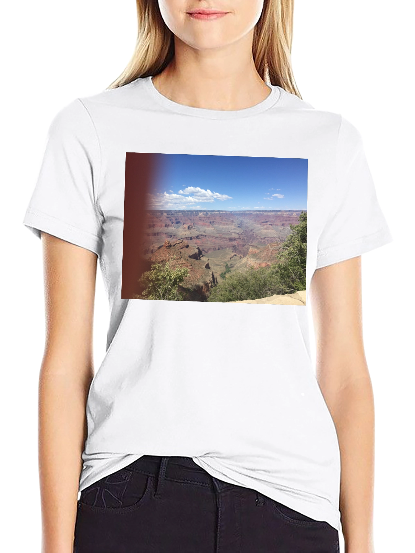 Grand Canyon Graphic Print Black T-Shirt