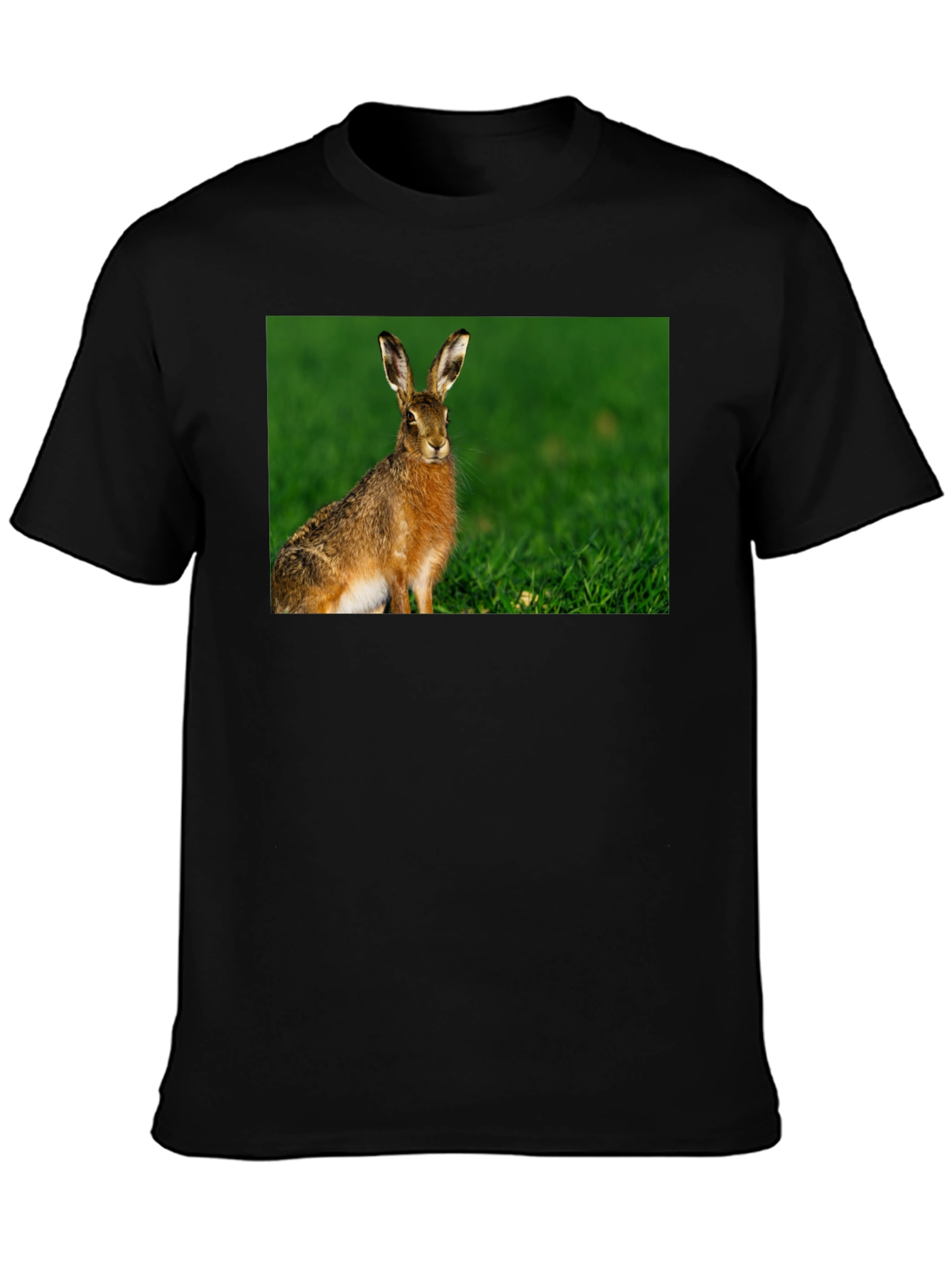 Hare Graphic Black Tee - Nature Lovers Shirt