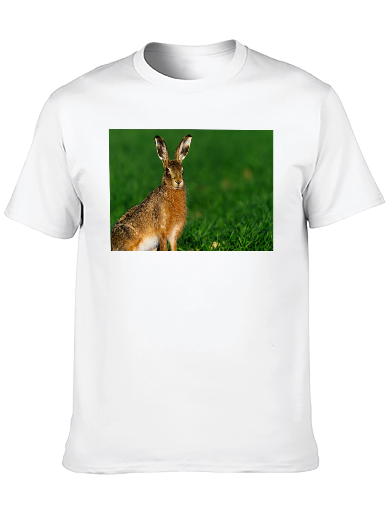 Hare Graphic Black Tee - Nature Lovers Shirt