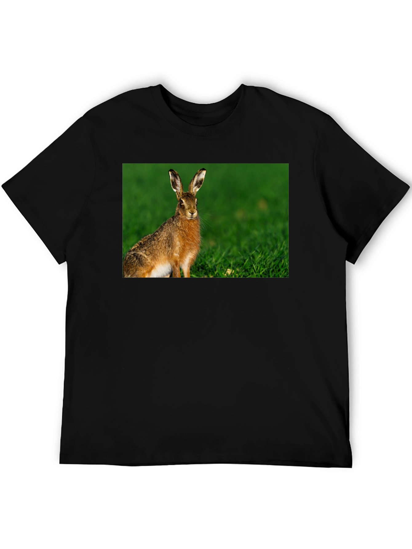 Hare Graphic Black Tee - Nature Lovers Shirt