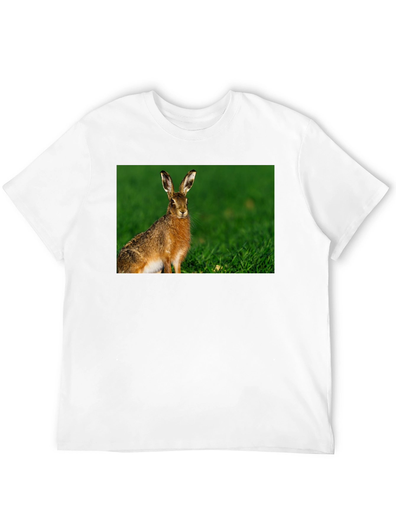 Hare Graphic Black Tee - Nature Lovers Shirt