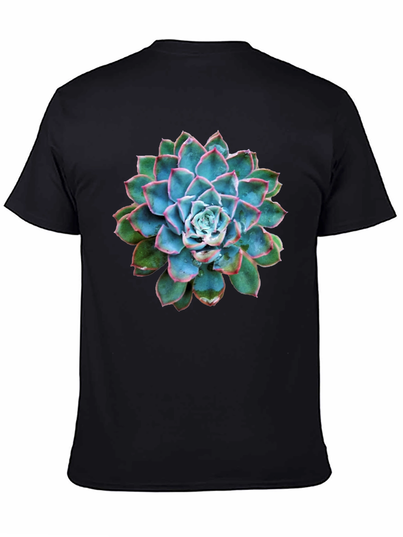 Succulent Graphic Black T-Shirt