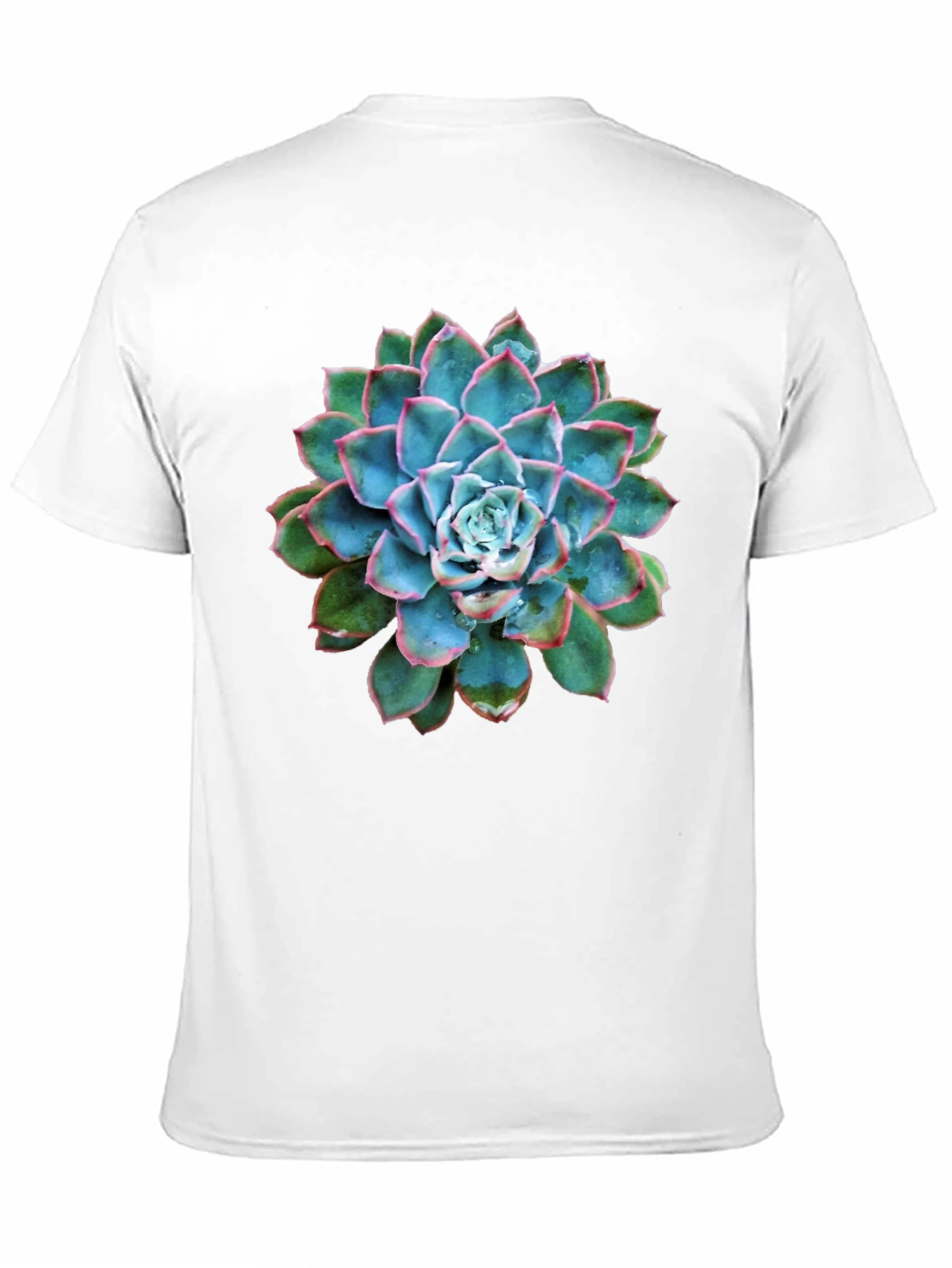 Succulent Graphic Black T-Shirt
