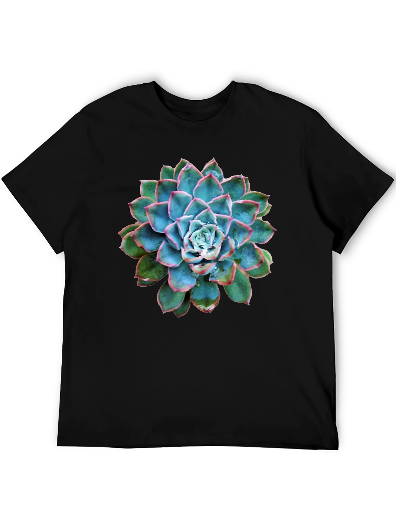 Succulent Graphic Black T-Shirt
