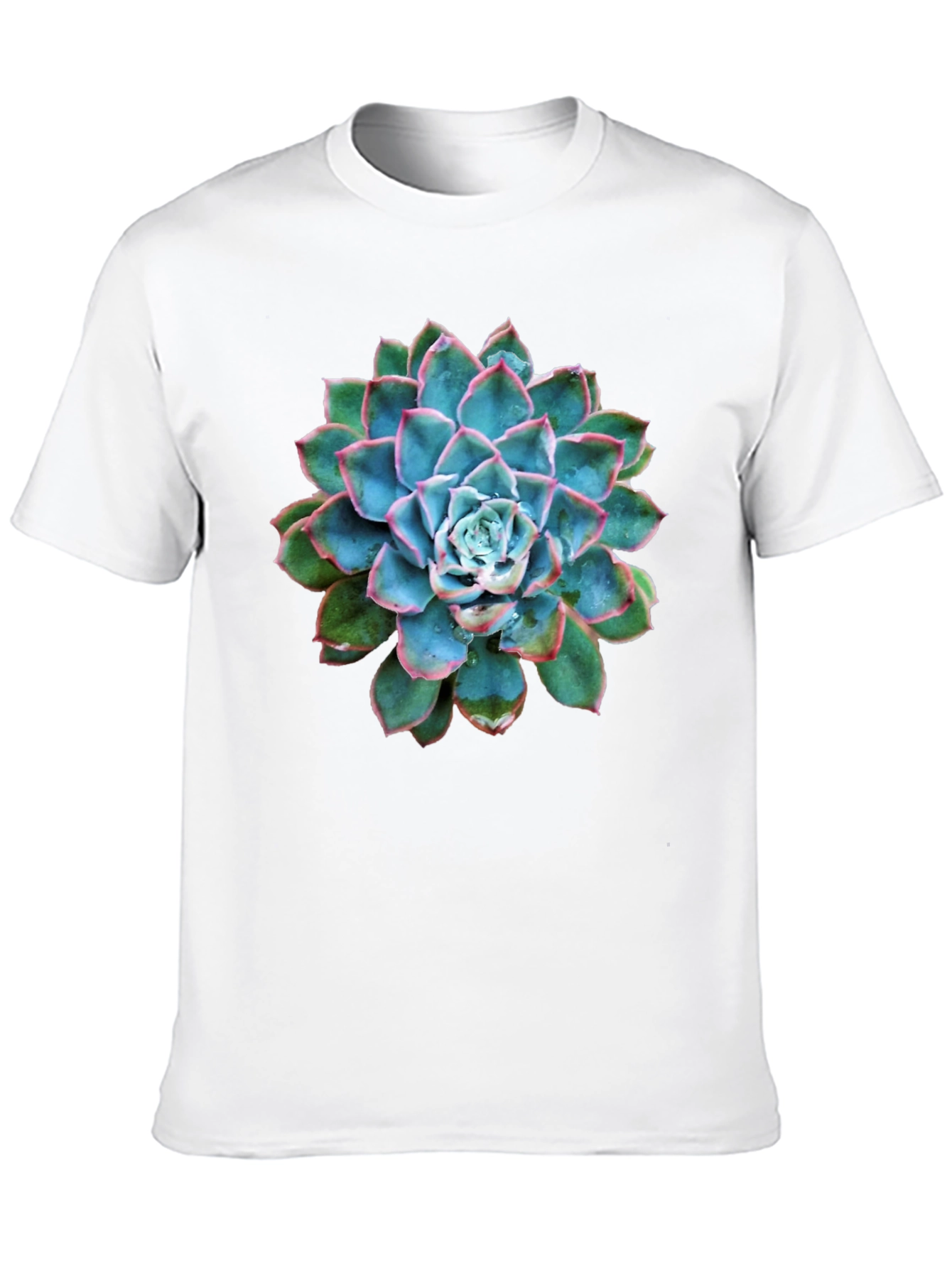 Succulent Graphic Black T-Shirt
