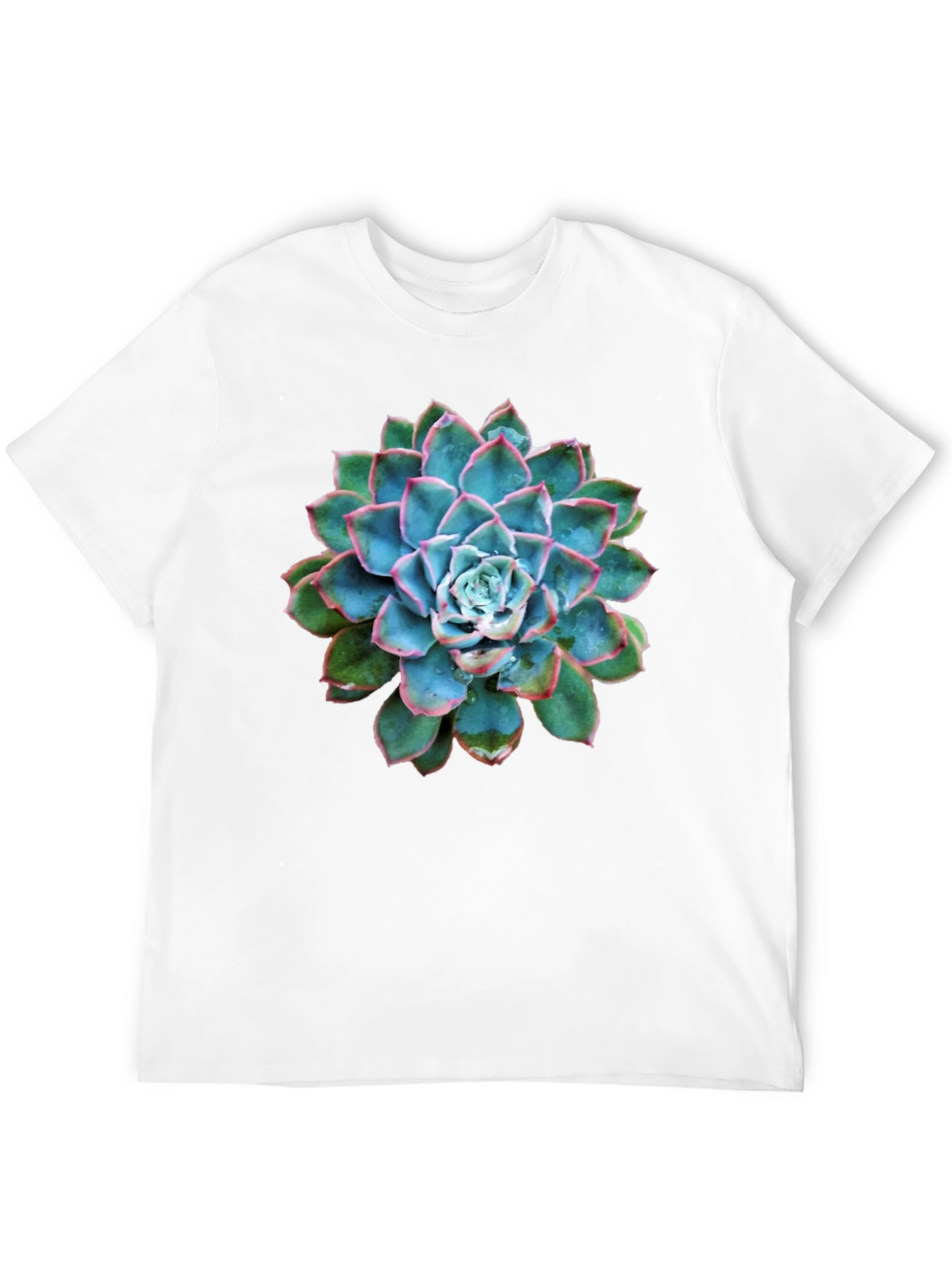 Succulent Graphic Black T-Shirt