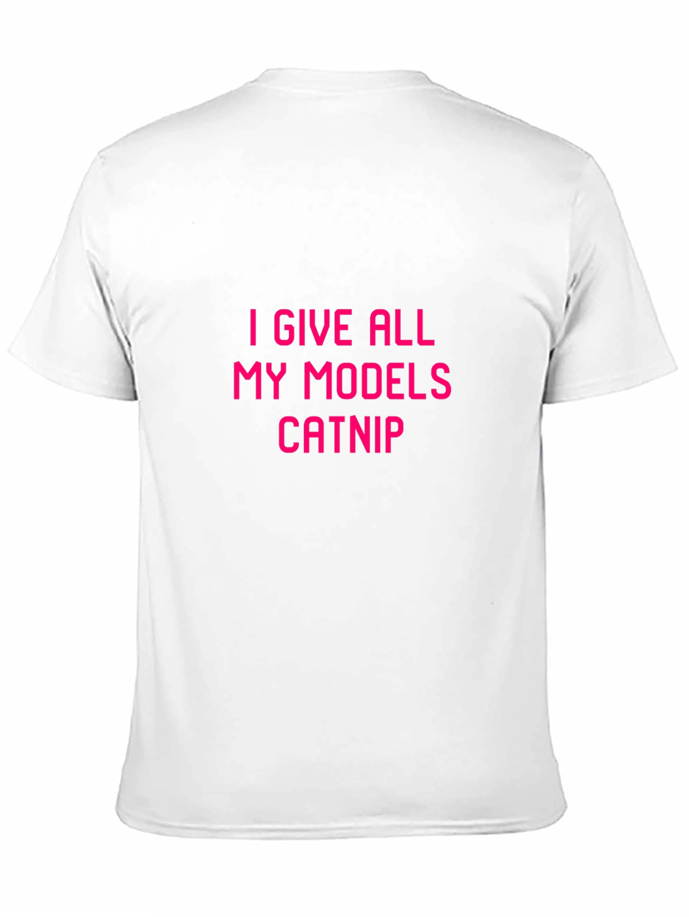 I Give All My Models Catnip Graphic Tee